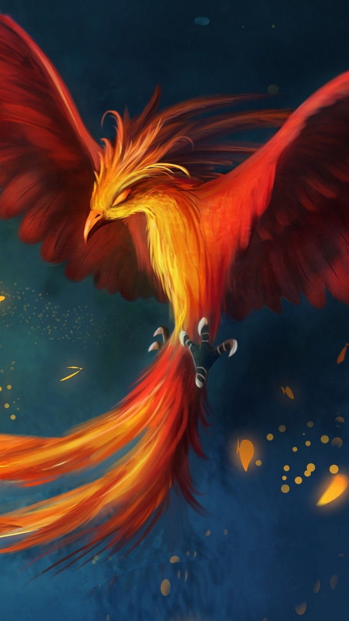 Dessin Oiseau Phoenix Volant, Art, Phoenix, Dessin, L'art Numérique. Wallpaper in 720x1280 Resolution