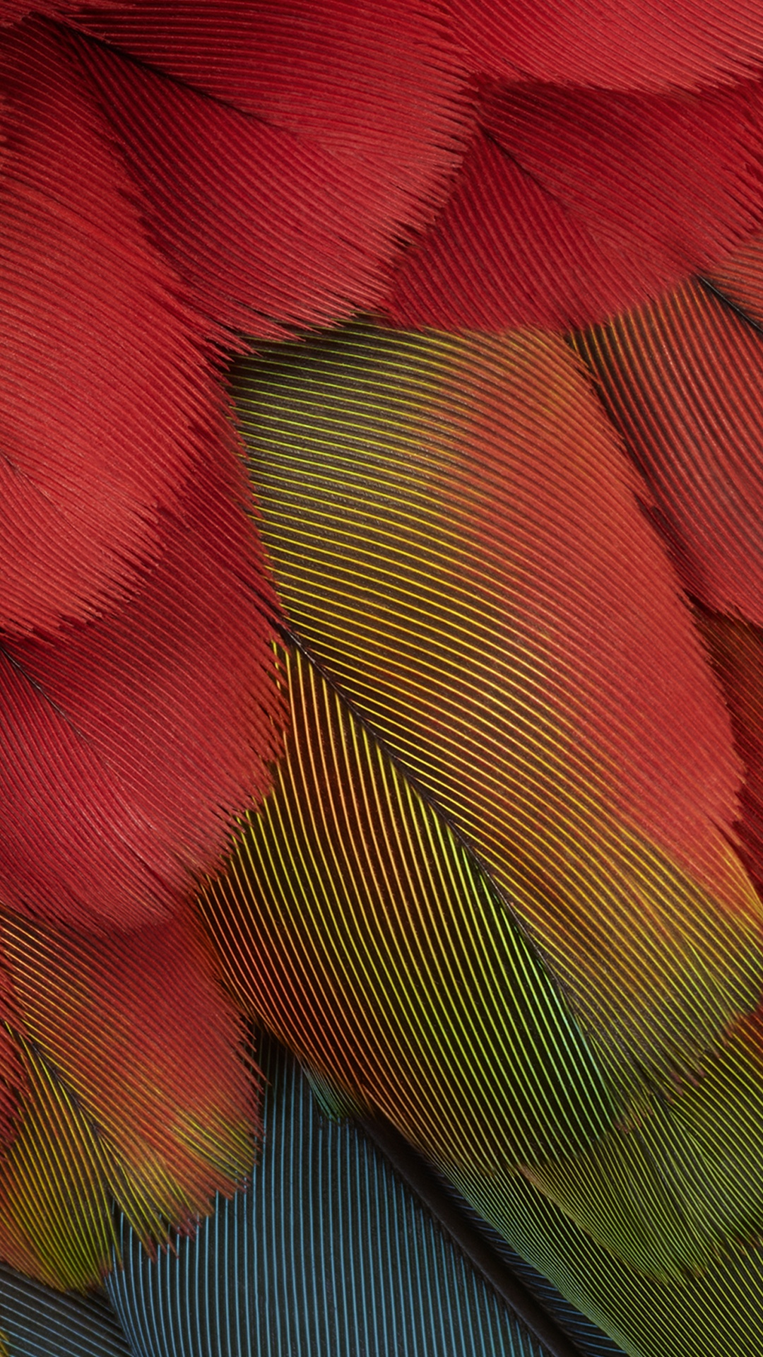 Close Up, Pixel 7, Kunst, Farbigkeit, Orange. Wallpaper in 1080x1920 Resolution