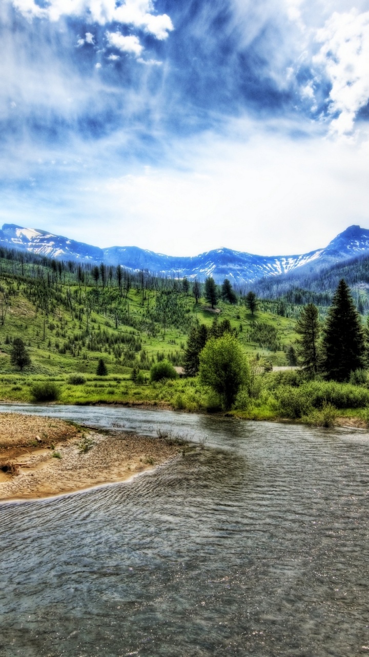Árboles Verdes y Campo Marrón Cerca Del Lago Bajo un Cielo Azul y Nubes Blancas Durante el Día. Wallpaper in 720x1280 Resolution