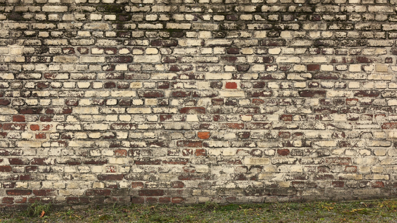 Brown Brick Wall With Green Grass Field. Wallpaper in 1366x768 Resolution