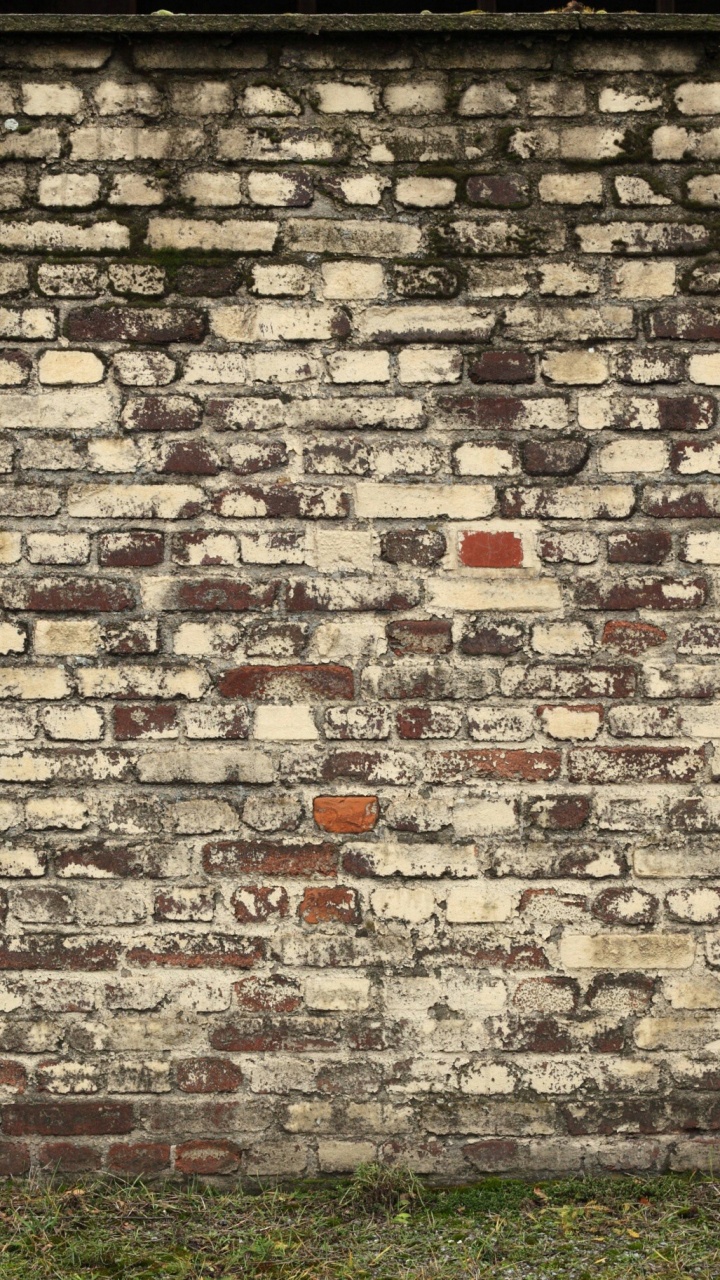 Brown Brick Wall With Green Grass Field. Wallpaper in 720x1280 Resolution