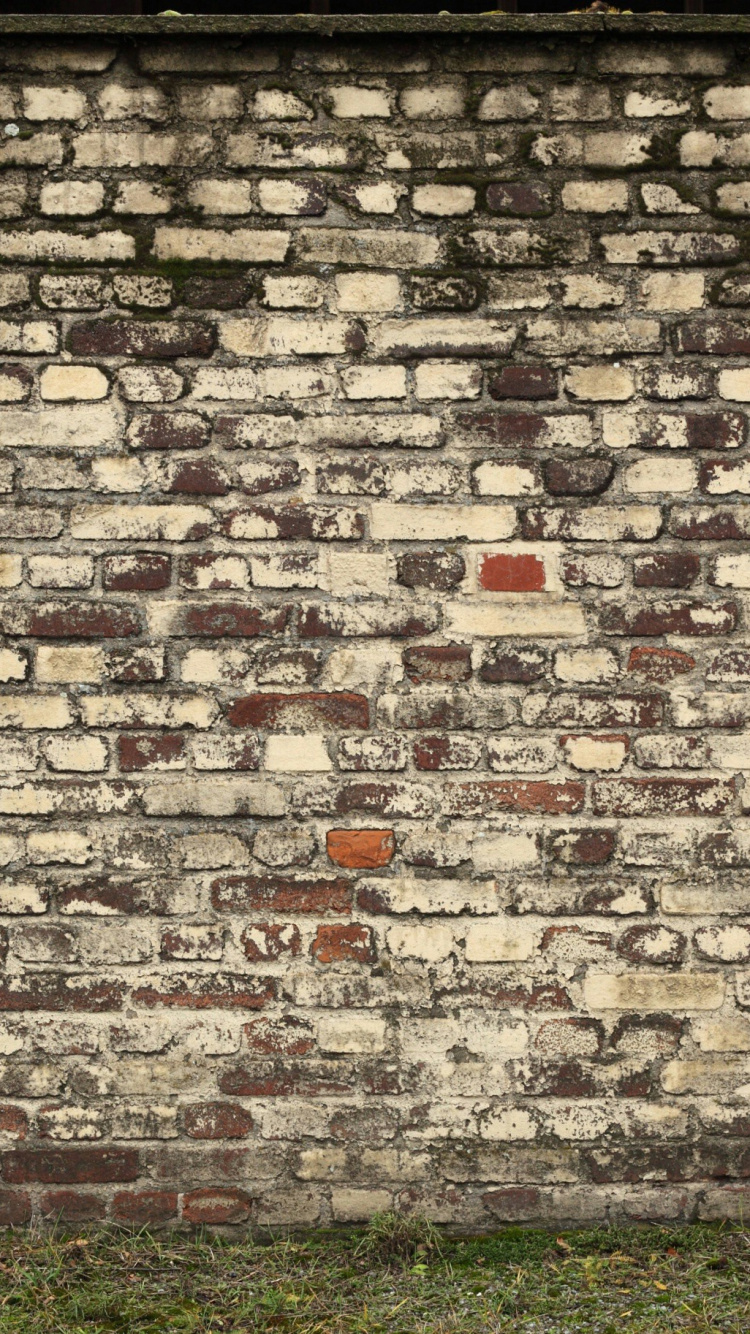 Brown Brick Wall With Green Grass Field. Wallpaper in 750x1334 Resolution