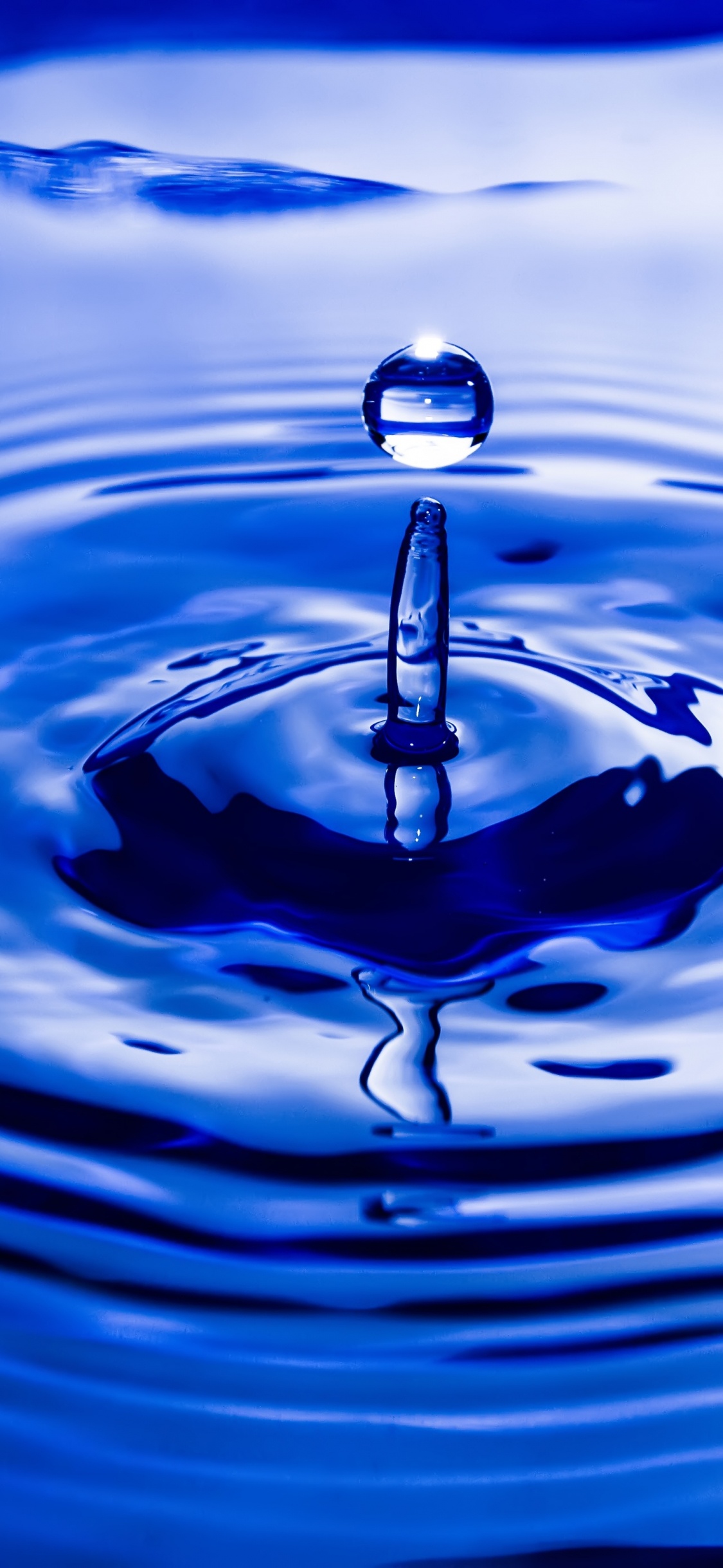 Hydrophilic in Nature, Drop, Water, Liquid, Water Resources. Wallpaper in 1125x2436 Resolution