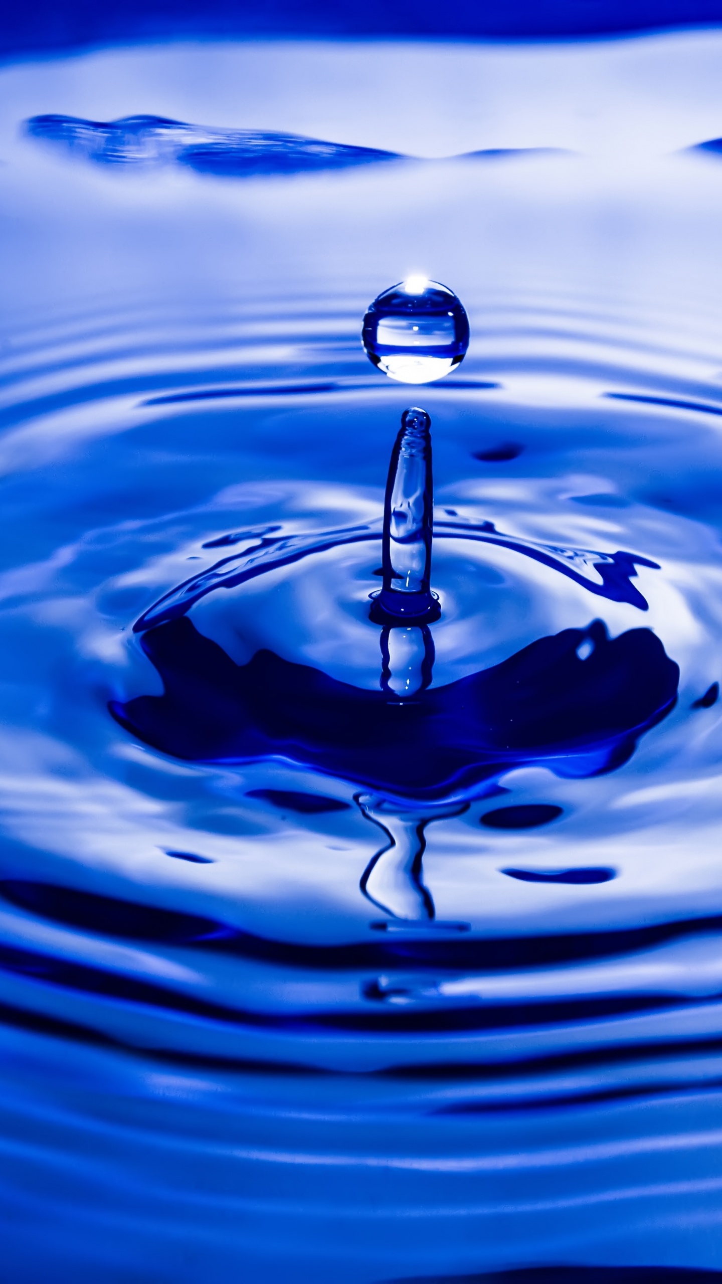 Hydrophilic in Nature, Drop, Water, Liquid, Water Resources. Wallpaper in 1440x2560 Resolution