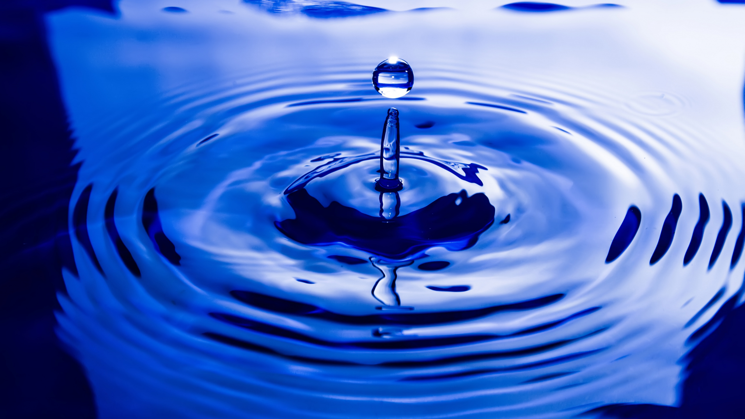 Hydrophilic in Nature, Drop, Water, Liquid, Water Resources. Wallpaper in 2560x1440 Resolution