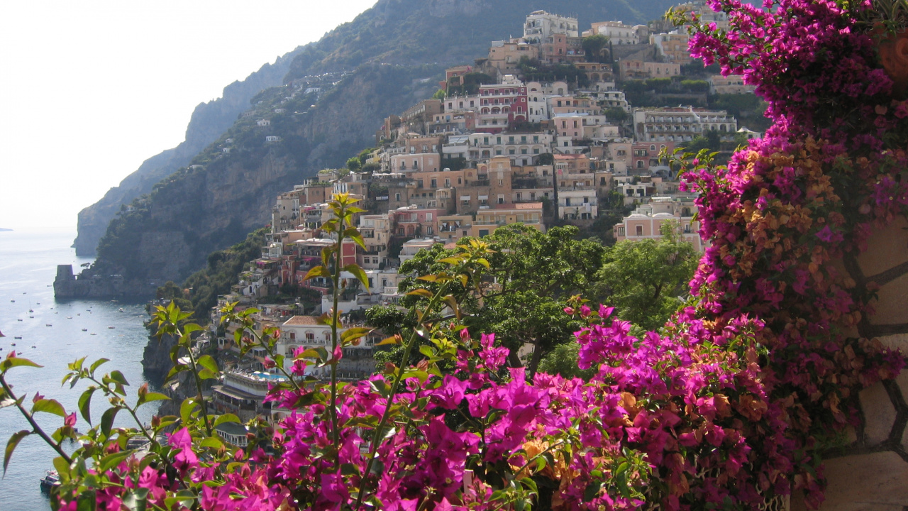 Pink Flowers on Mountain Near Body of Water During Daytime. Wallpaper in 1280x720 Resolution