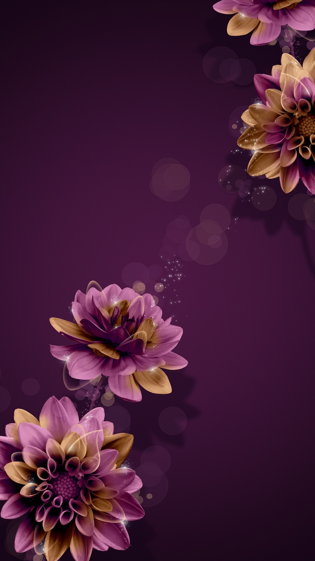 Flower, Plant, Purple, Nature, Petal. Wallpaper in 1080x1920 Resolution