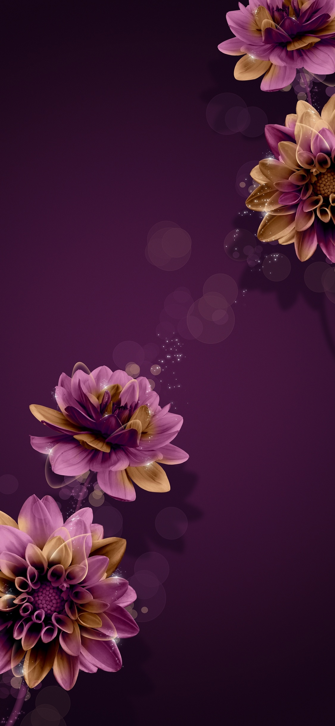 Flower, Plant, Purple, Nature, Petal. Wallpaper in 1125x2436 Resolution