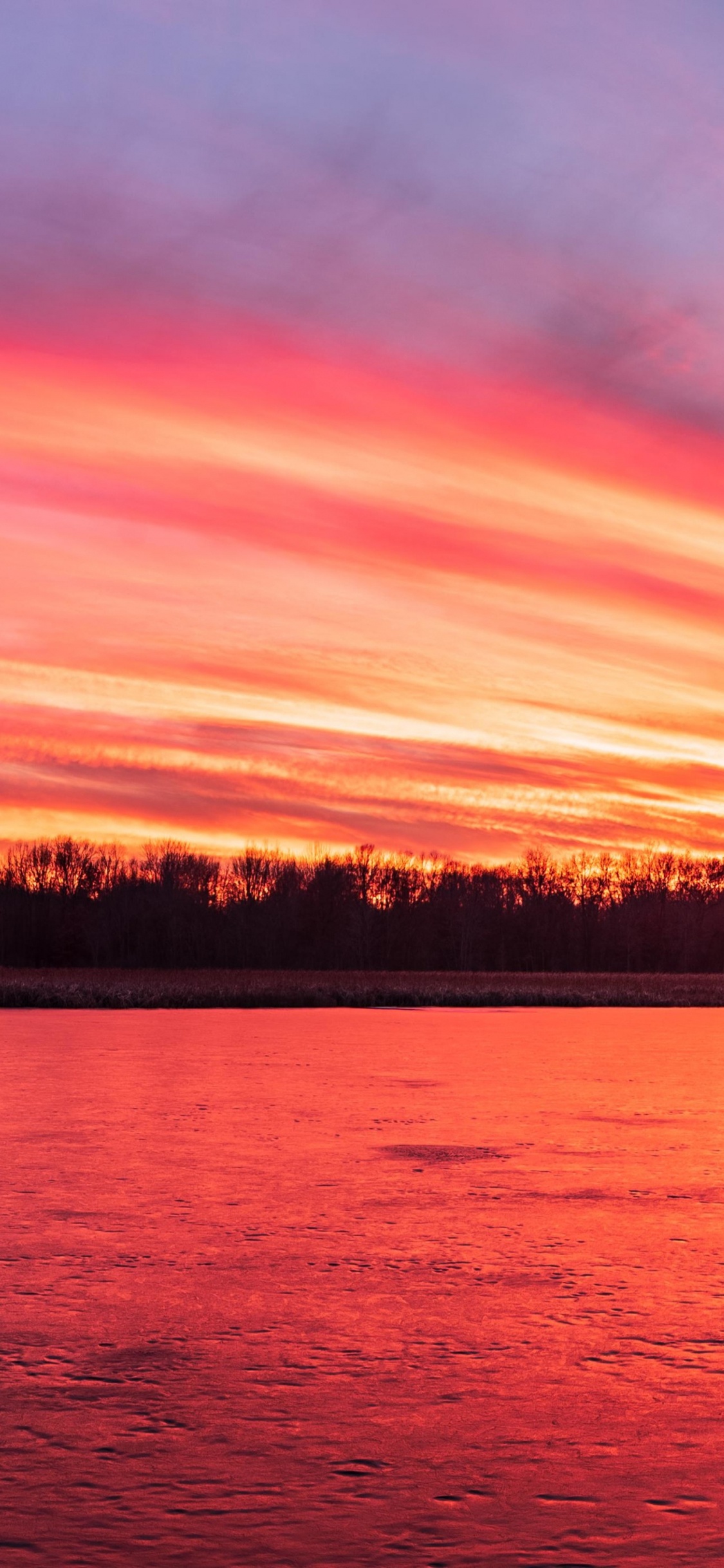 IMac, el Macbook Air, Apple MacBook Pro, Naturaleza, Puesta. Wallpaper in 1125x2436 Resolution