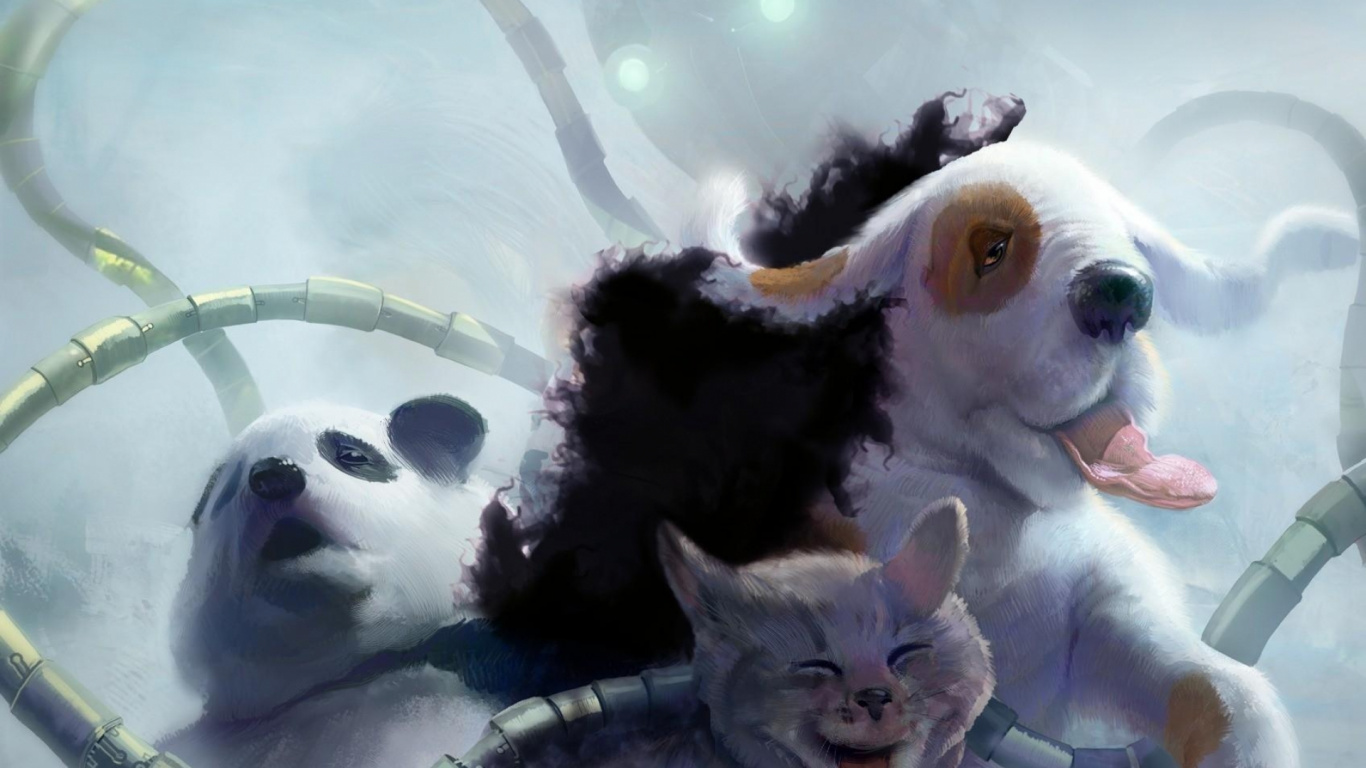 Weiße Und Schwarze Katze Auf Schwarzem Felltextil. Wallpaper in 1366x768 Resolution