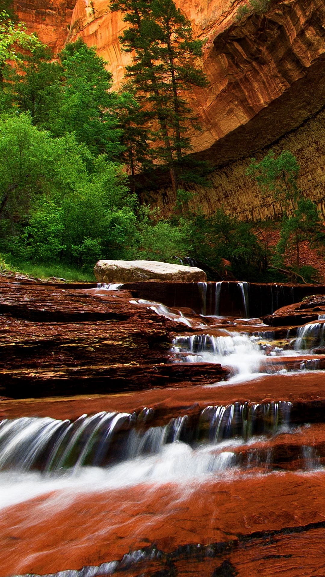 Water Falls in The Middle of Brown and Green Trees. Wallpaper in 1080x1920 Resolution