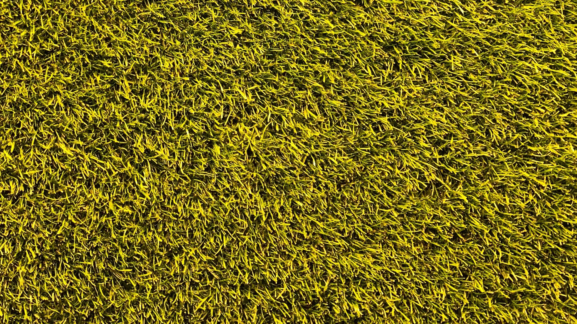 Gelbe Und Schwarze Abstrakte Malerei. Wallpaper in 1920x1080 Resolution