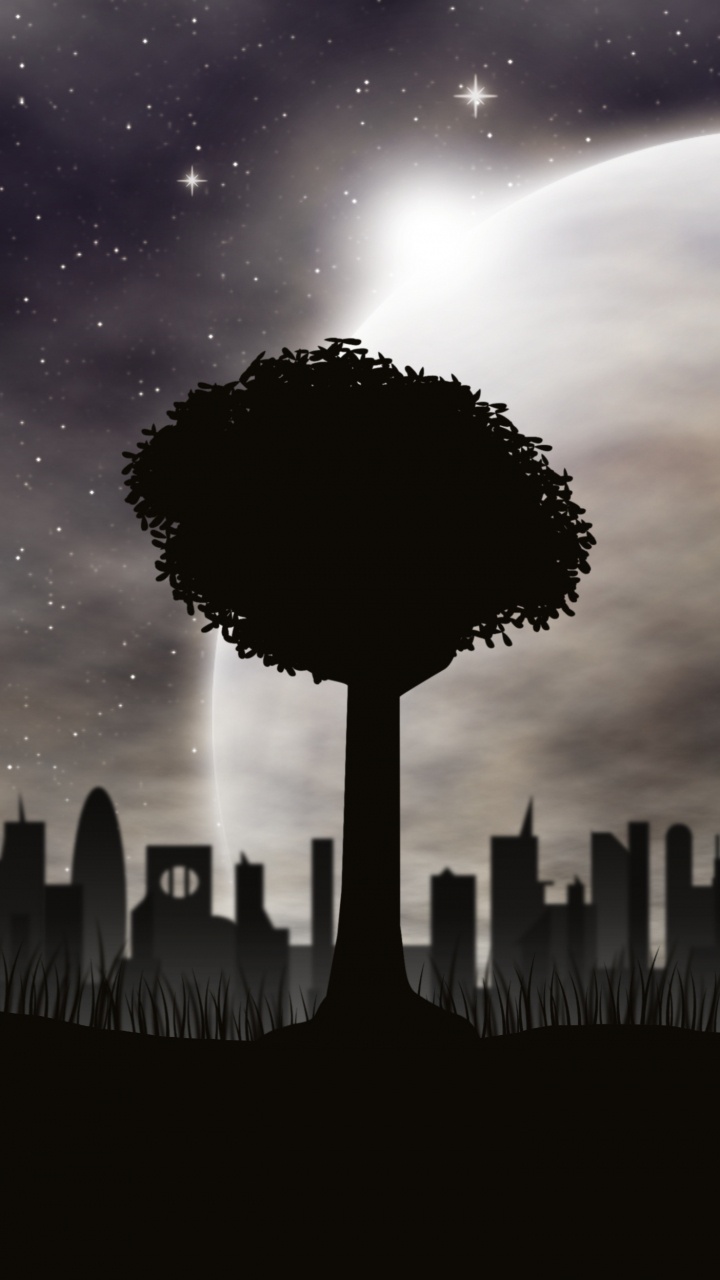 Silhouette D'arbres Sous Ciel Violet. Wallpaper in 720x1280 Resolution