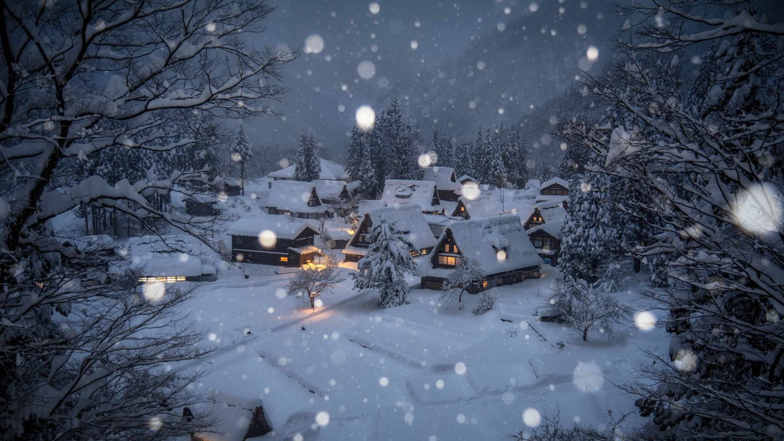 Maisons Couvertes de Neige Pendant la Nuit. Wallpaper in 2560x1440 Resolution