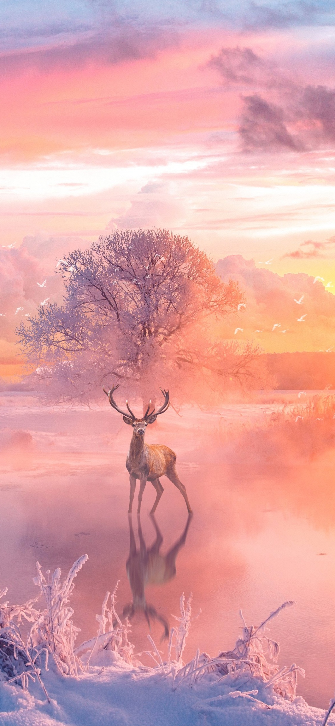 Deer, Reindeer, Cloud, Ecoregion, Plant. Wallpaper in 1125x2436 Resolution