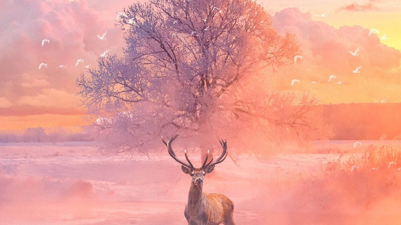 Deer, Reindeer, Cloud, Ecoregion, Plant. Wallpaper in 1280x720 Resolution