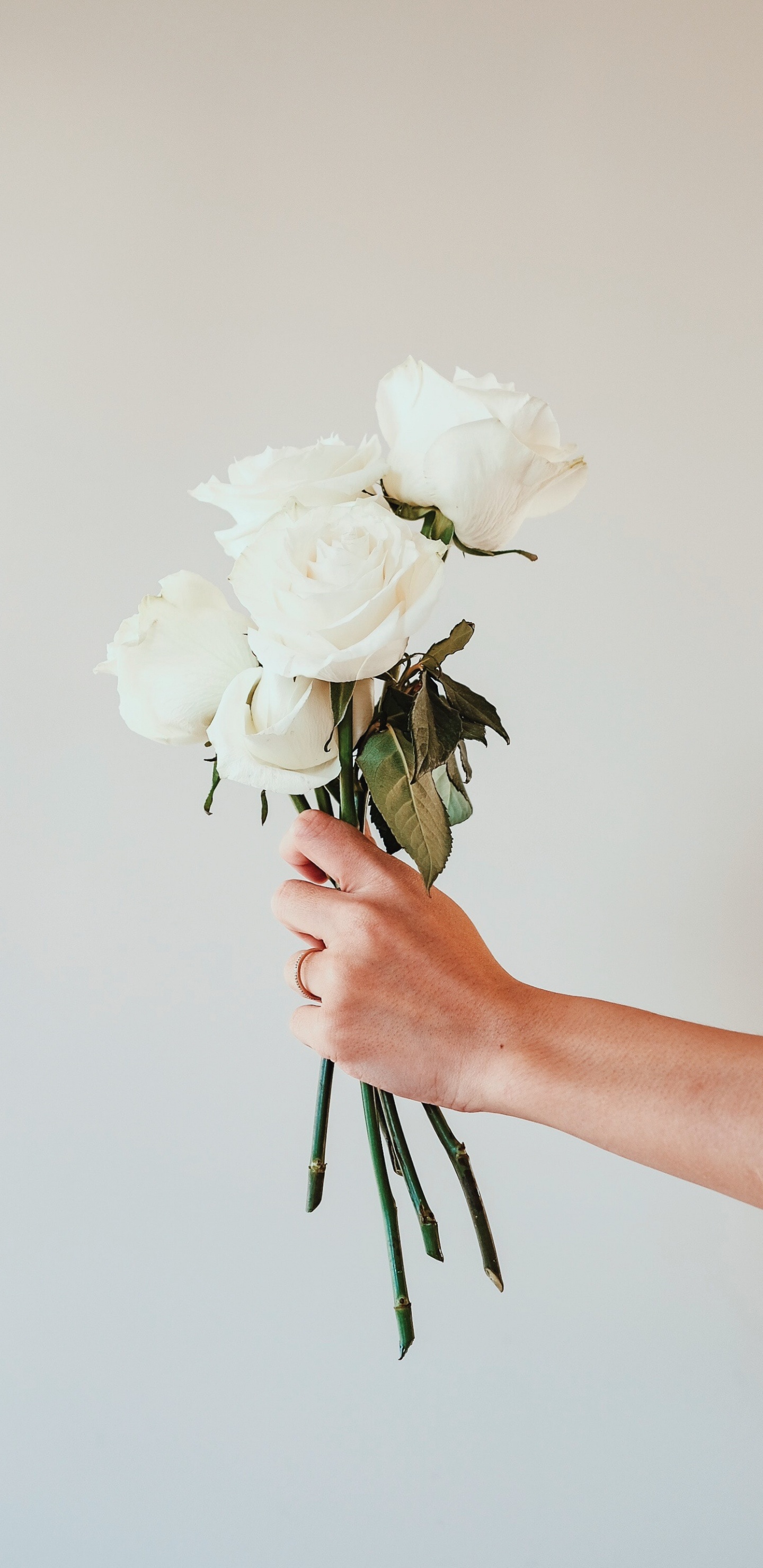 Person Holding White Rose Bouquet. Wallpaper in 1440x2960 Resolution