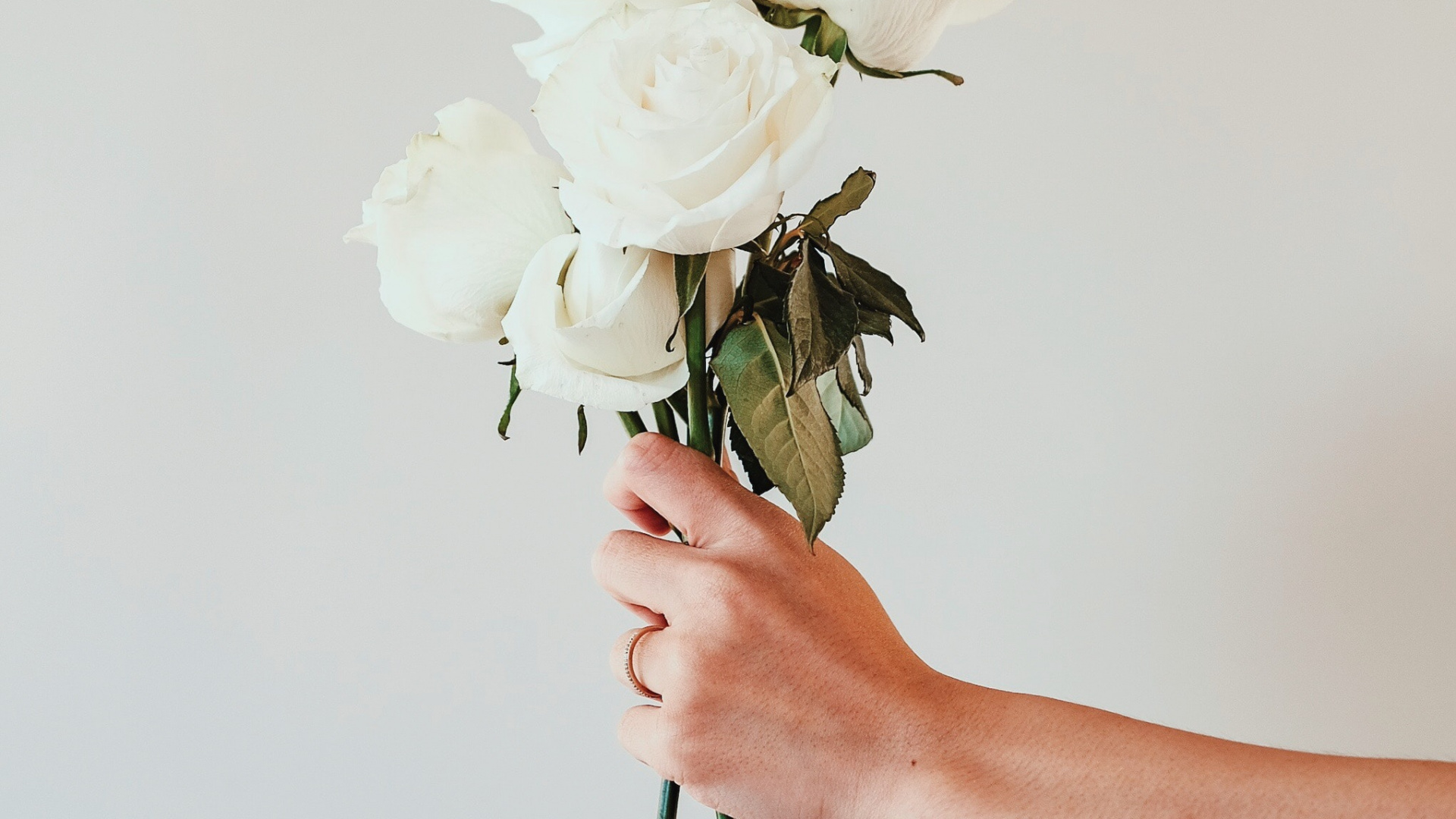 Person Holding White Rose Bouquet. Wallpaper in 1920x1080 Resolution