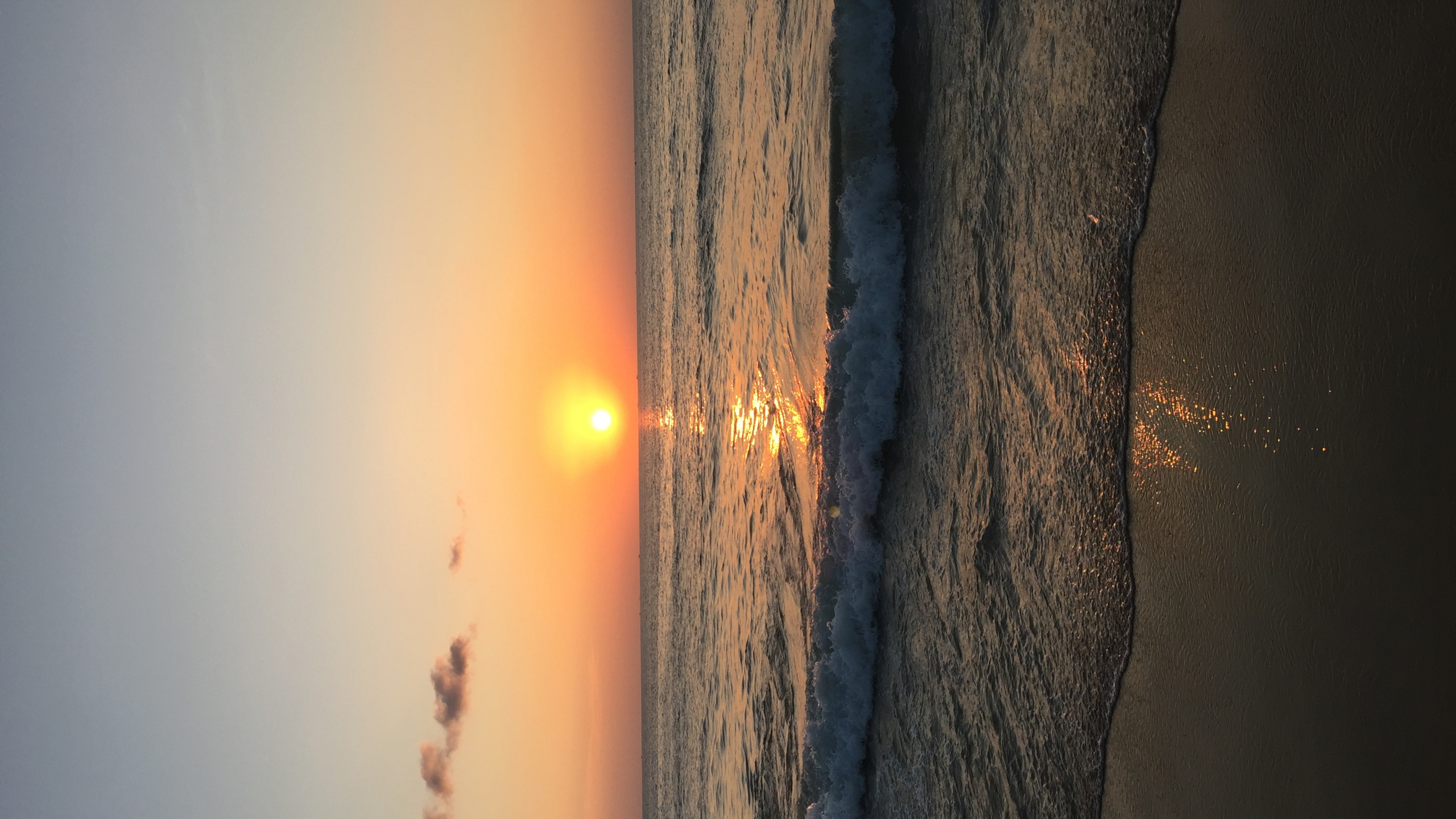 Holz, Gewässer, Atmosphäre, Sonne, Sonnenuntergang. Wallpaper in 2560x1440 Resolution