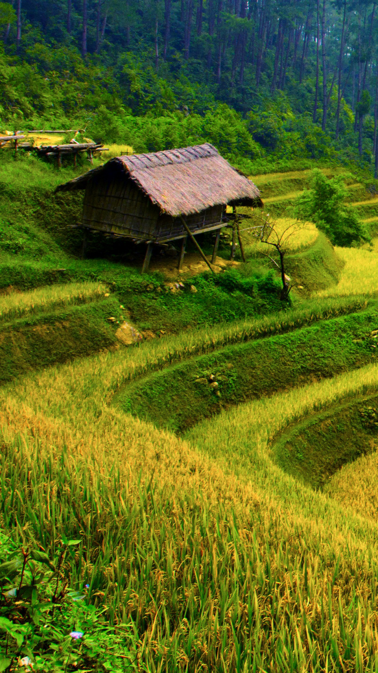 Brown Wooden House on Green Grass Field During Daytime. Wallpaper in 750x1334 Resolution