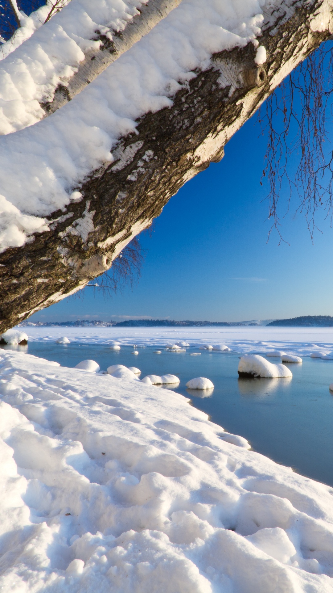 Brown Tree Trunk on Snow Covered Ground During Daytime. Wallpaper in 1080x1920 Resolution