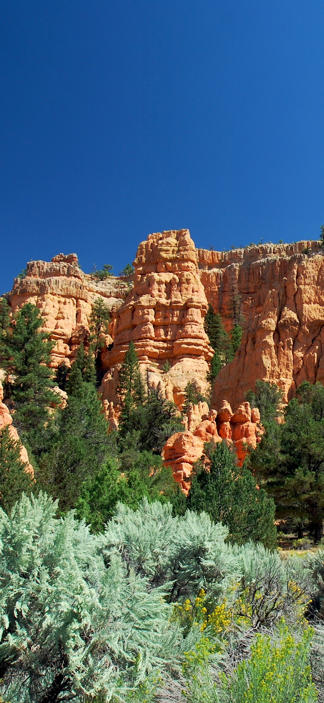Brown Rock Formation Under Blue Sky During Daytime. Wallpaper in 1125x2436 Resolution