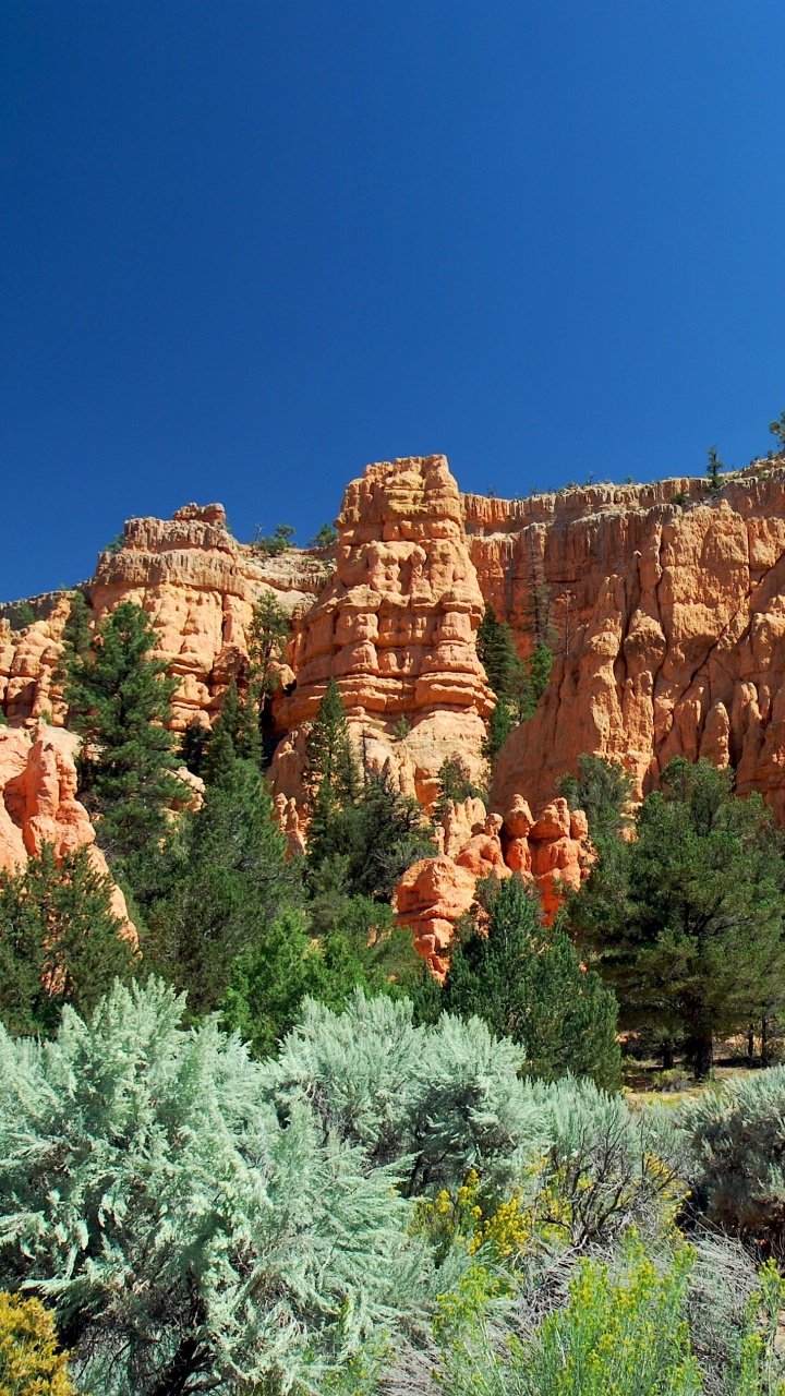 Brown Rock Formation Under Blue Sky During Daytime. Wallpaper in 720x1280 Resolution