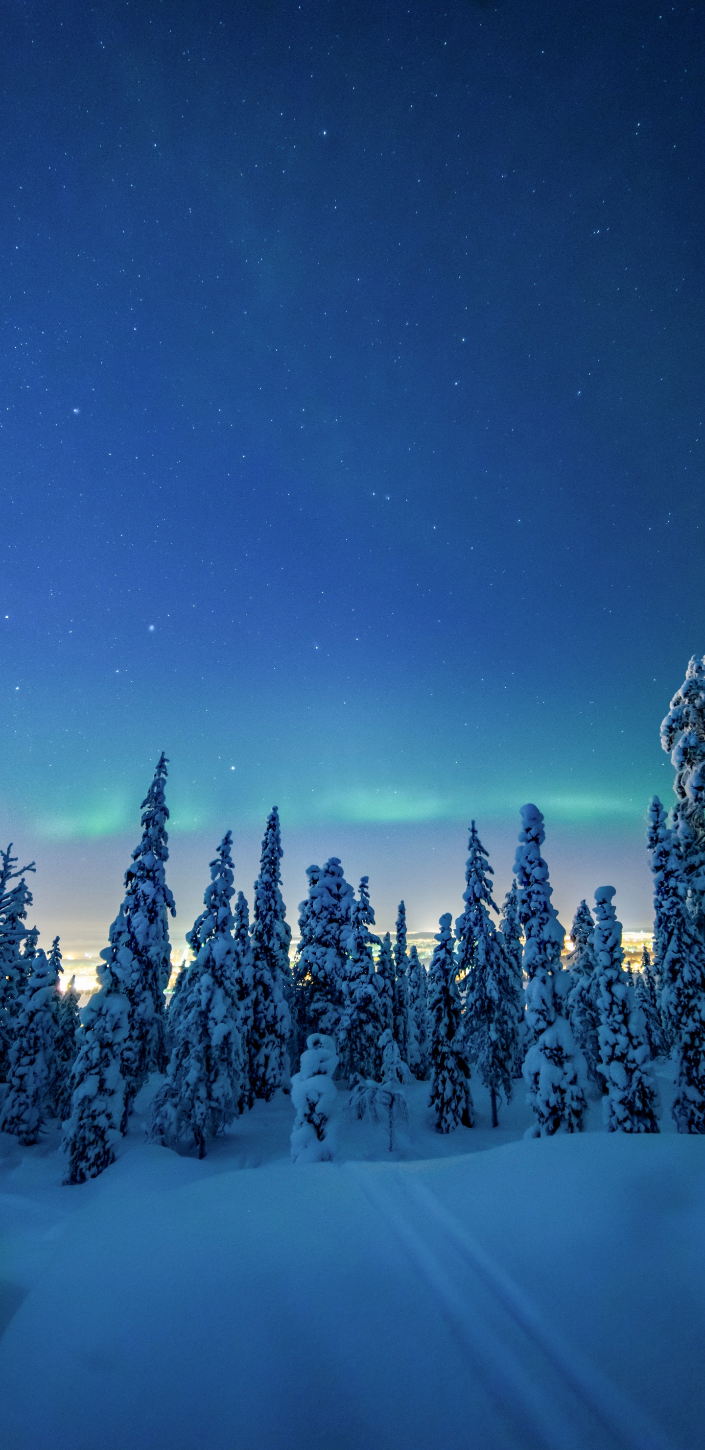 Invierno, Nieve, Naturaleza, Azul, Ambiente. Wallpaper in 1440x2960 Resolution