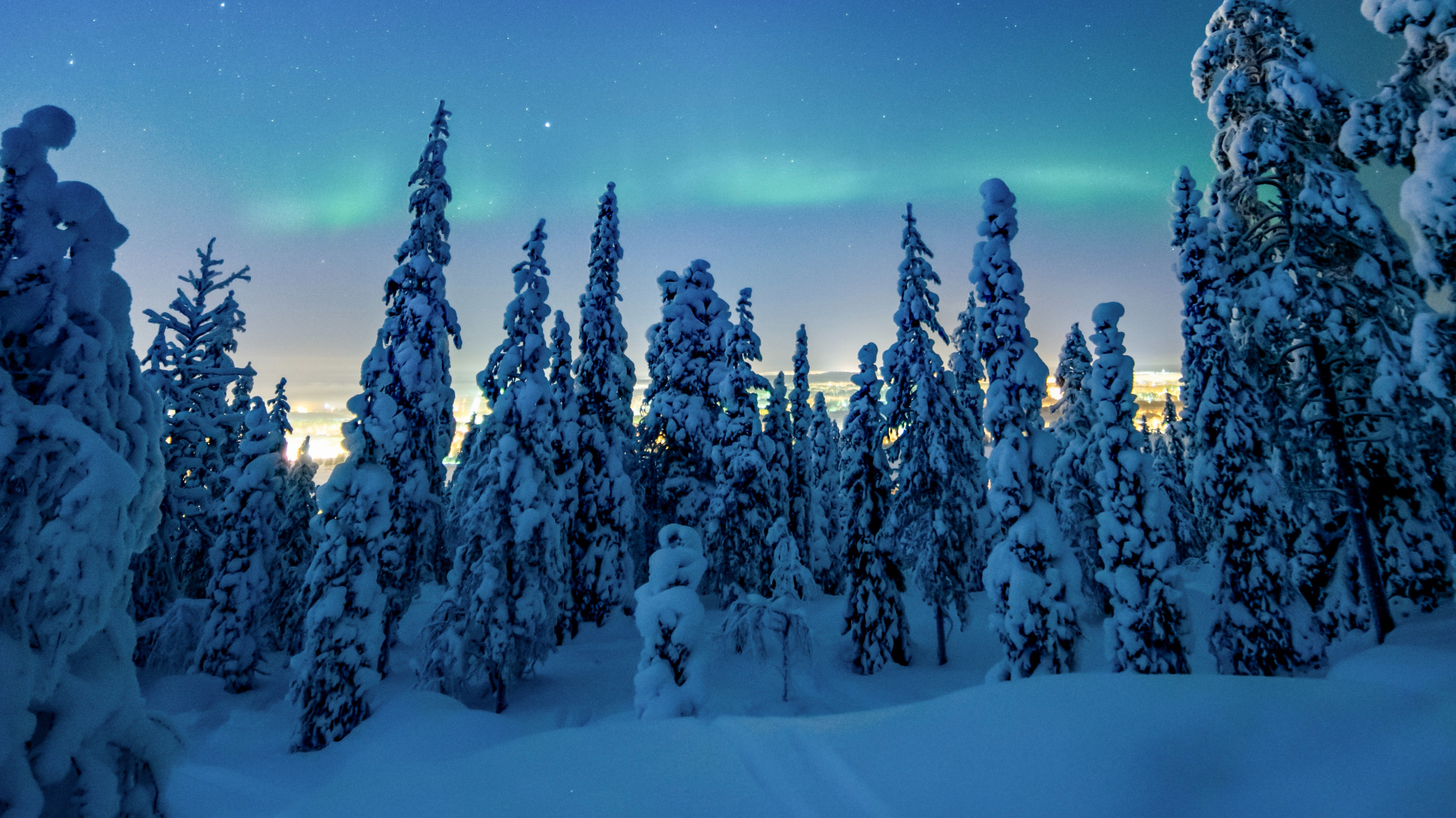 Nuit, Hiver, Neige, Nature, Blue. Wallpaper in 2560x1440 Resolution