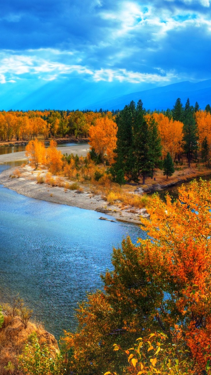 Brown Trees Near Lake Under Blue Sky During Daytime. Wallpaper in 720x1280 Resolution
