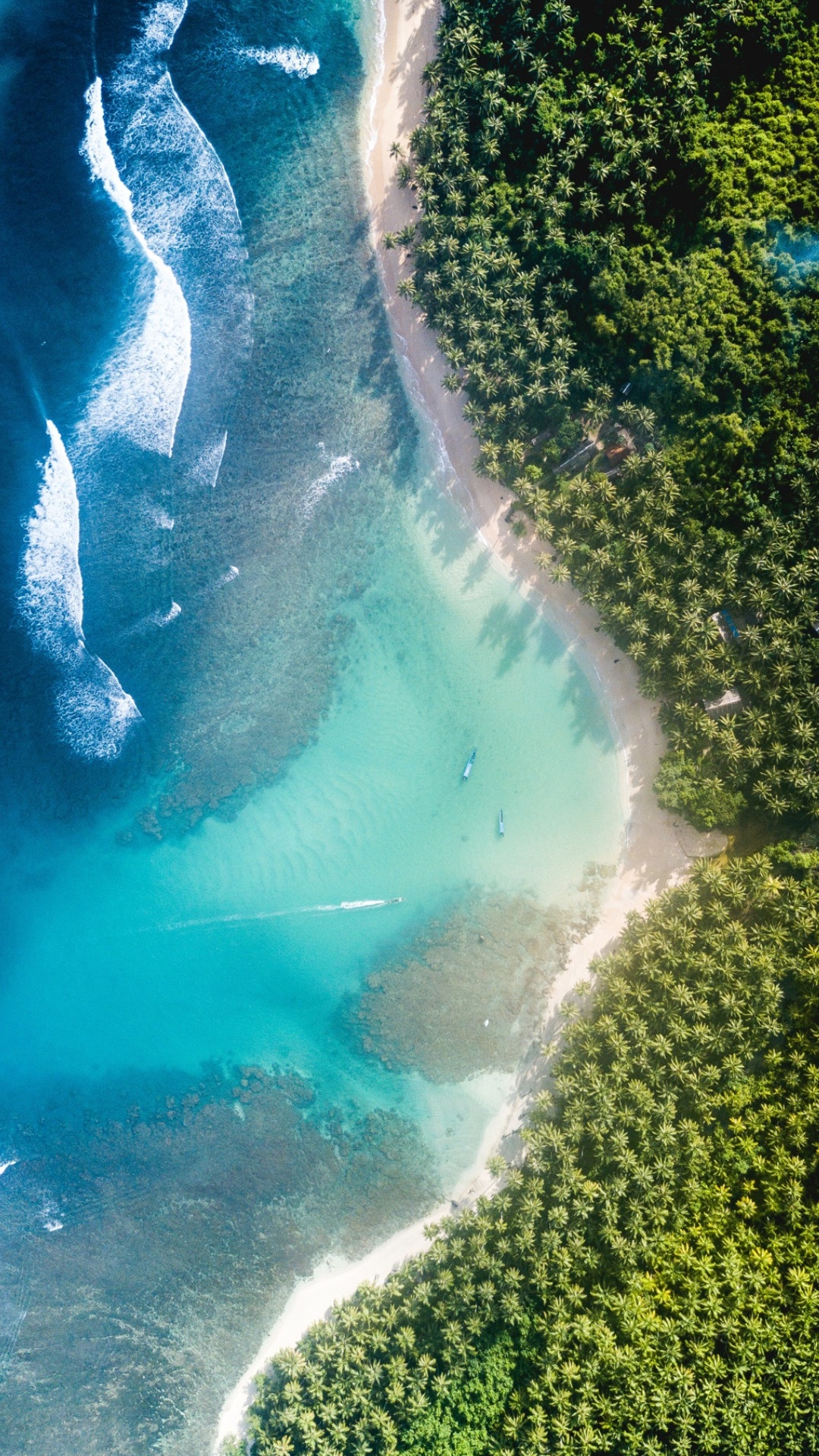 Ultrawide Formats, Water, Water Resources, Ecoregion, Green. Wallpaper in 1080x1920 Resolution