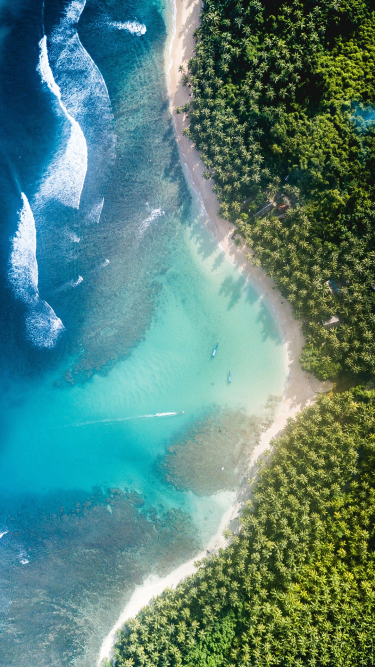 Ultrawide Formats, Water, Water Resources, Ecoregion, Green. Wallpaper in 750x1334 Resolution