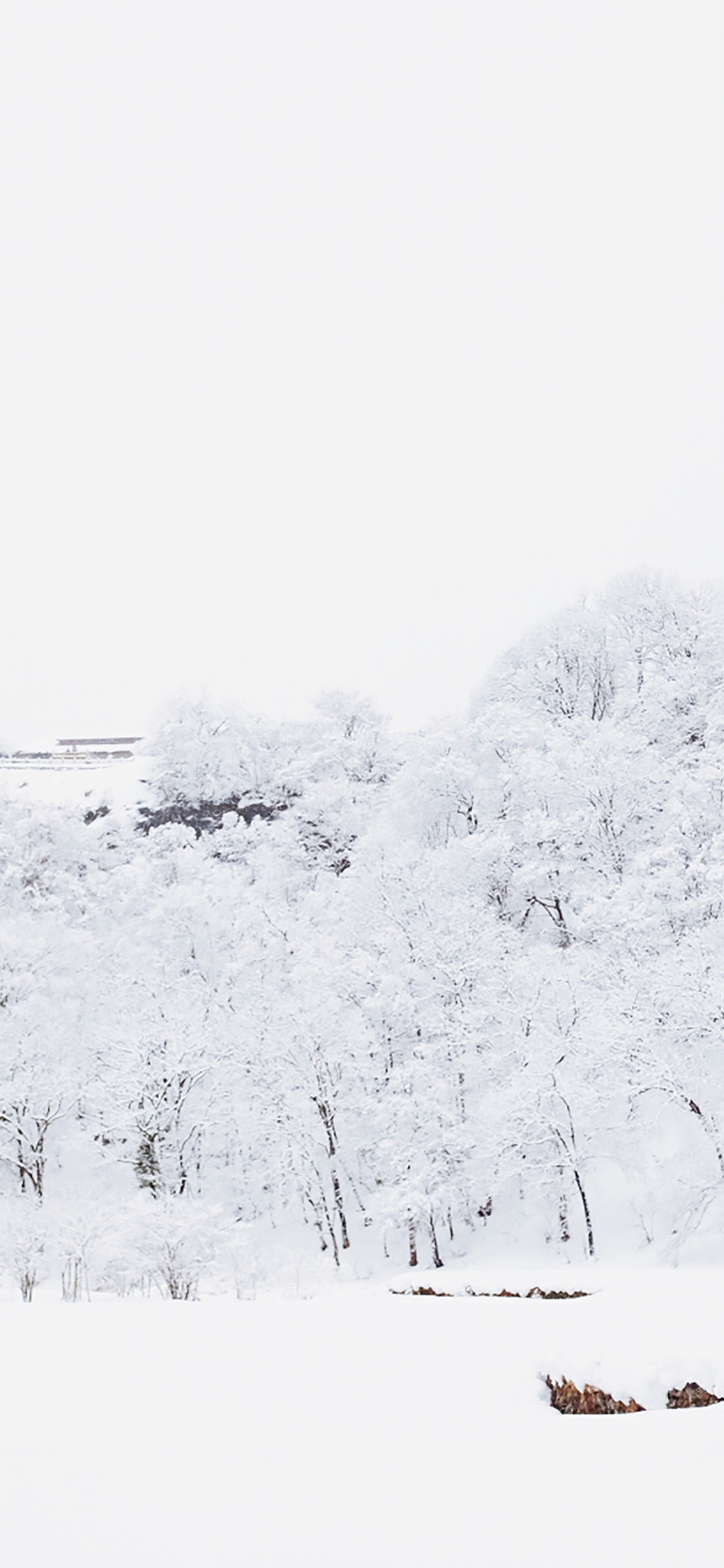 Neige, Hiver, Bâtiment, Pente, Paysage Naturel. Wallpaper in 1125x2436 Resolution