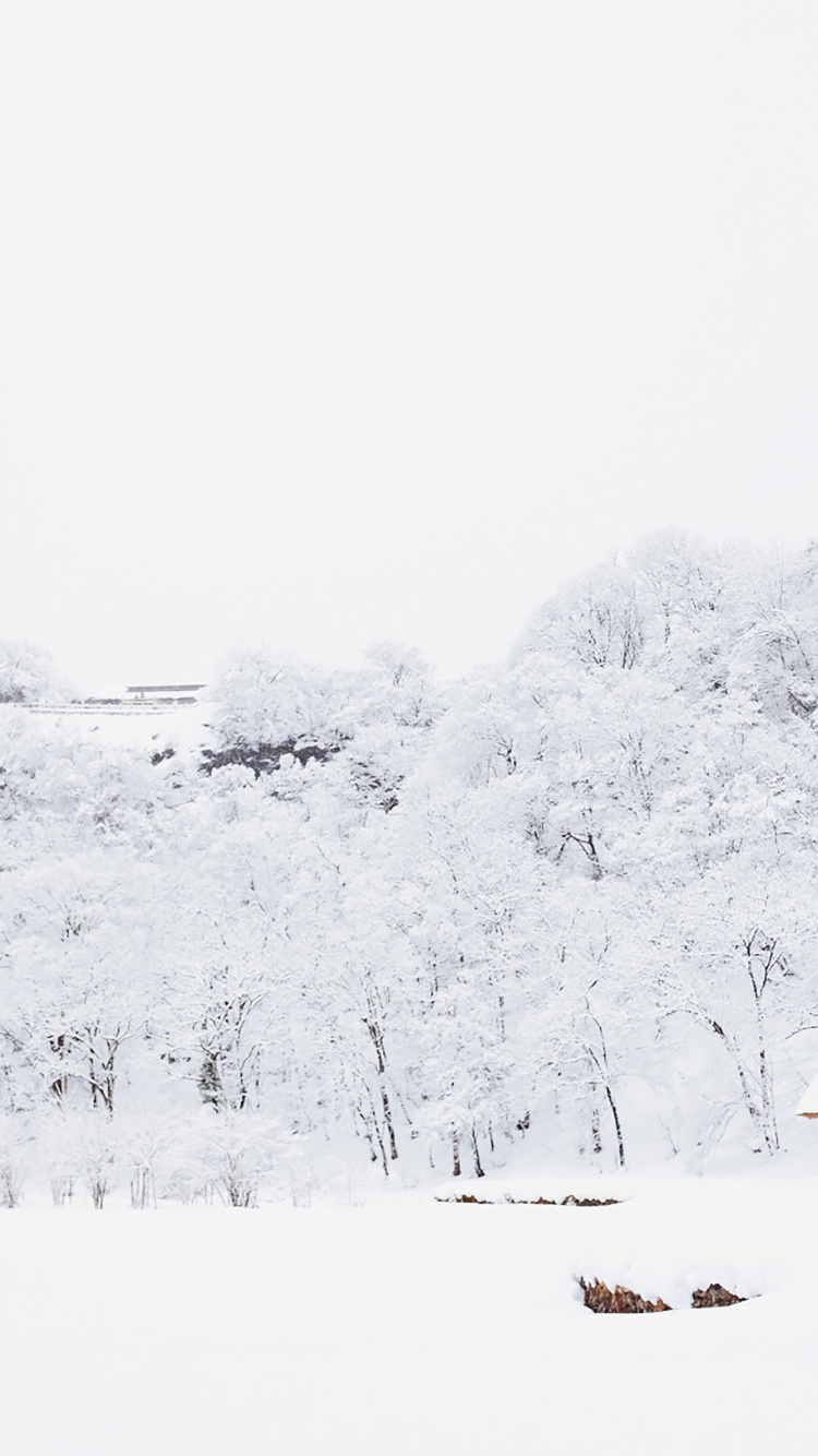 Nieve, Invierno, Edificio, Pendiente, Paisaje Natural. Wallpaper in 750x1334 Resolution