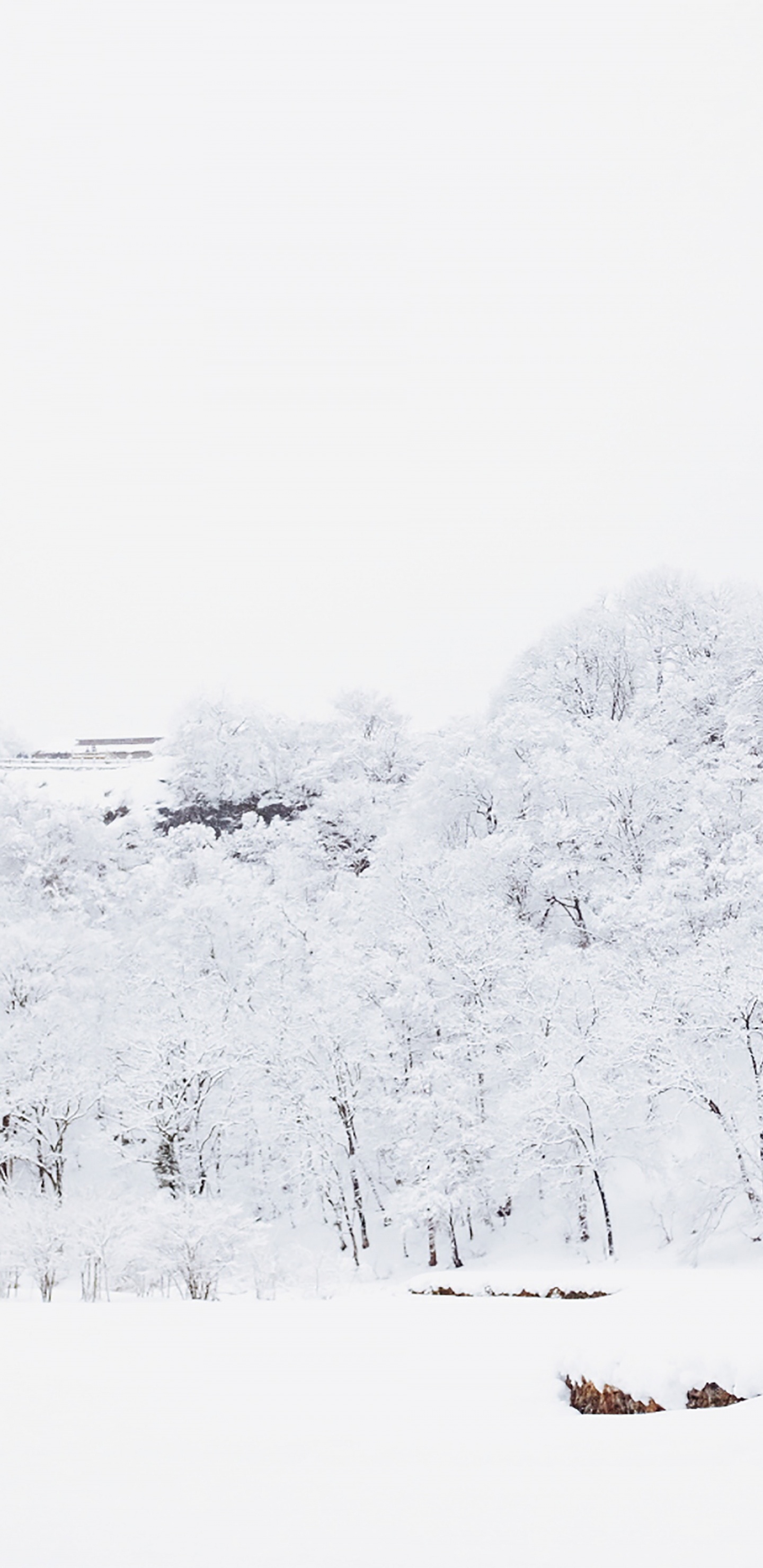 Schnee, Winter, Gebäude, Haus, Piste. Wallpaper in 1440x2960 Resolution