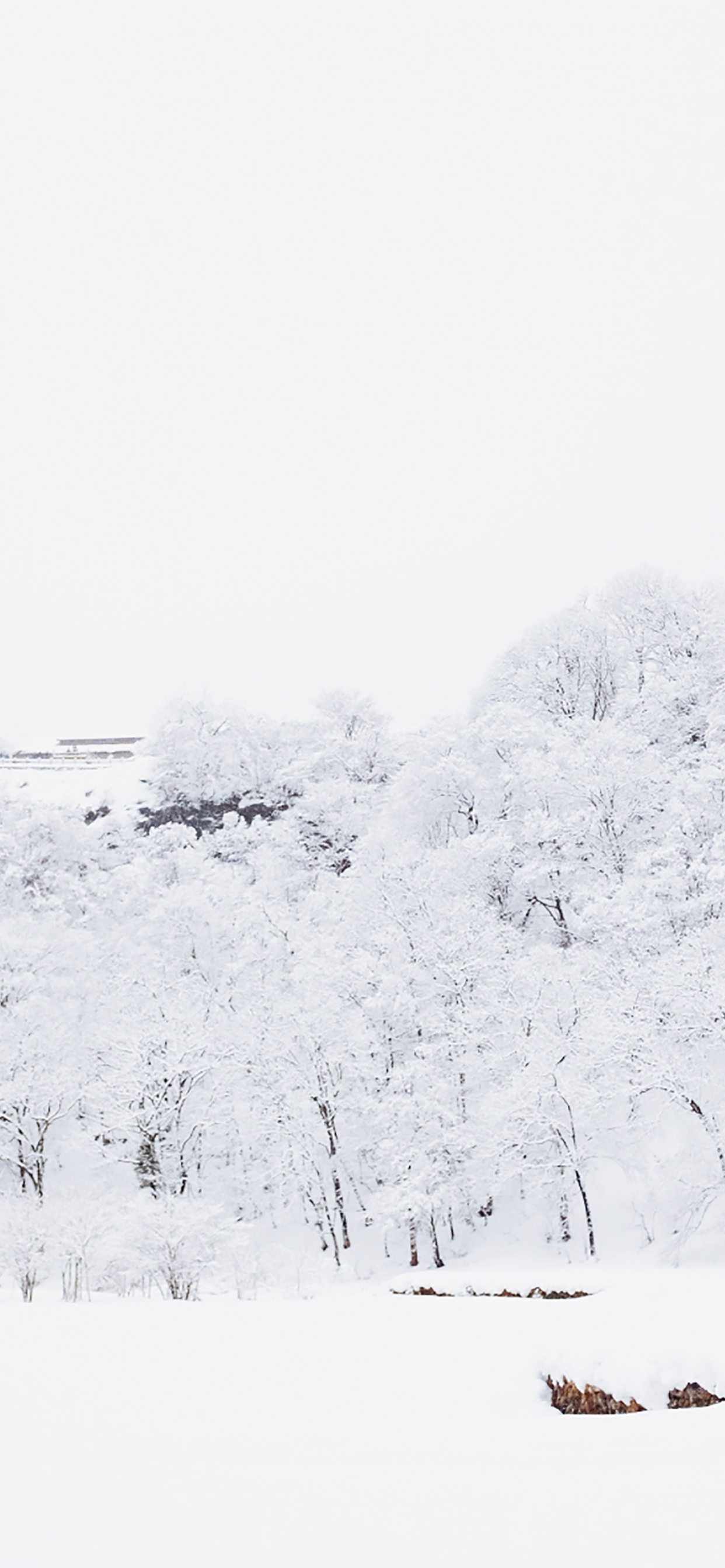 Snow, Winter, Building, House, Plant. Wallpaper in 1242x2688 Resolution