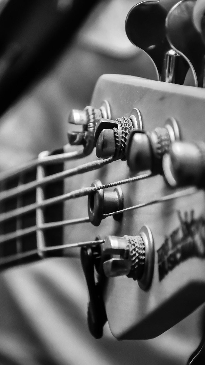 Bass, Gitarre, Gezupfte Saiteninstrumente, Akustikgitarre, Musiker. Wallpaper in 720x1280 Resolution