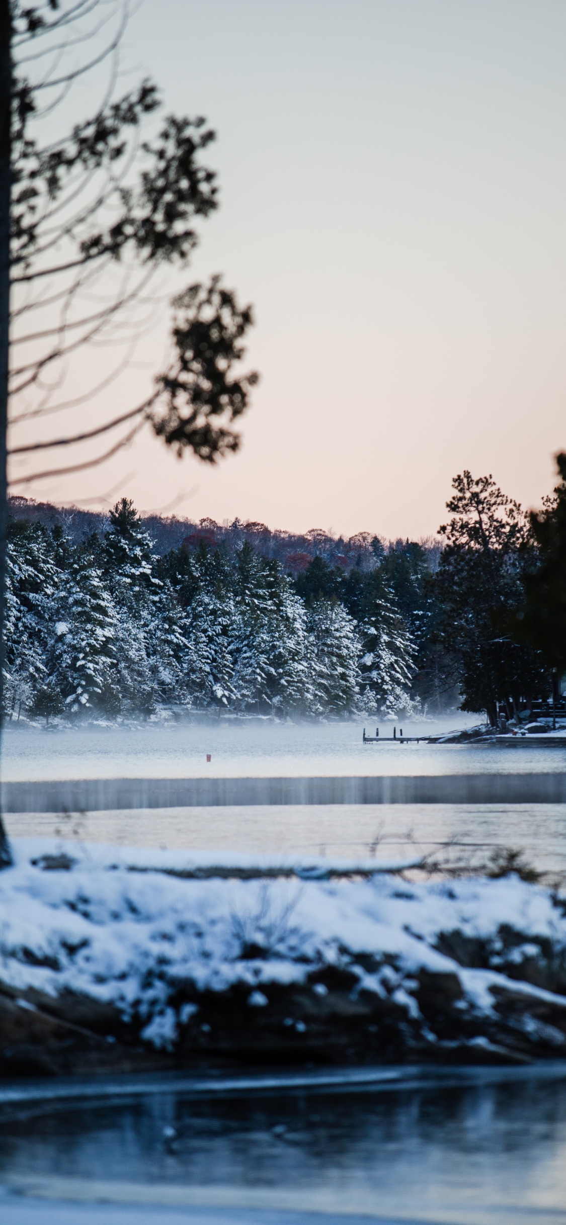 Winter, Snow, Nature, Water, Tree. Wallpaper in 1125x2436 Resolution