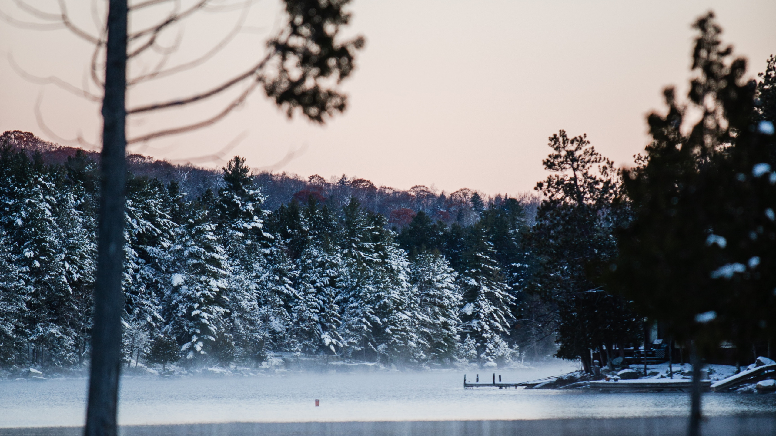 Winter, Snow, Nature, Water, Tree. Wallpaper in 2560x1440 Resolution
