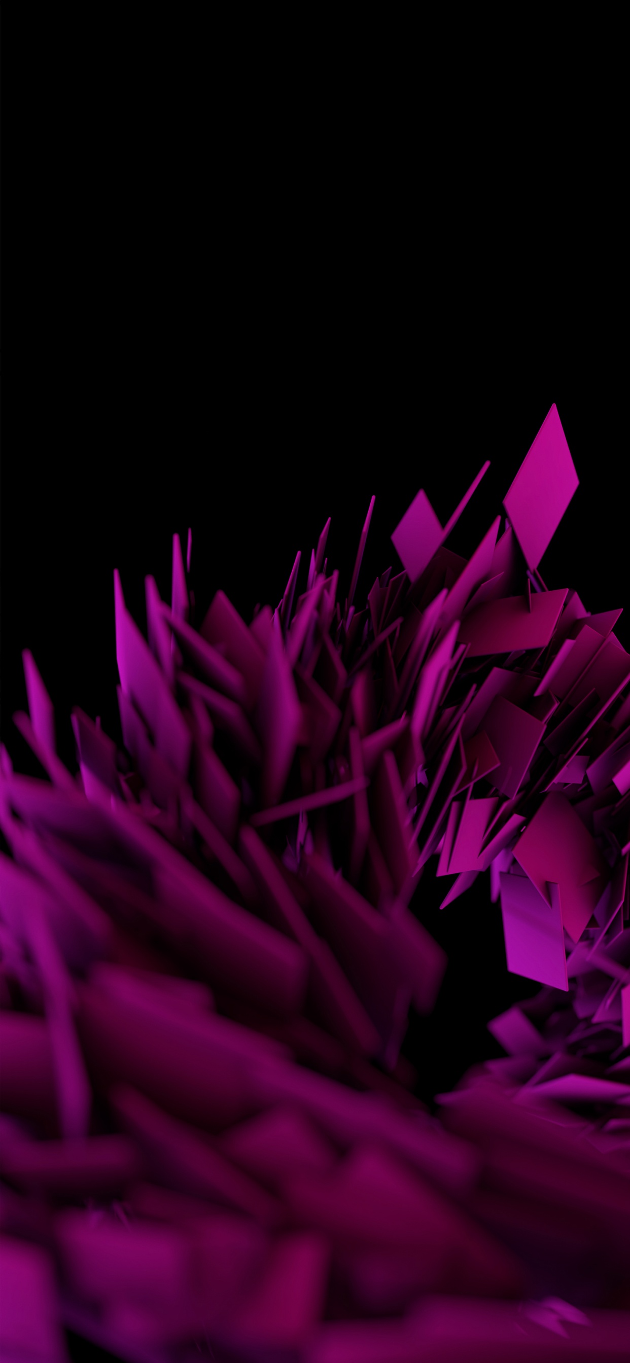 Amoled, Smartphone, Pétale, Purple, Violette. Wallpaper in 1242x2688 Resolution