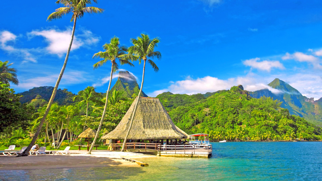 Brown Wooden Beach House Near Green Trees and Body of Water During Daytime. Wallpaper in 1366x768 Resolution