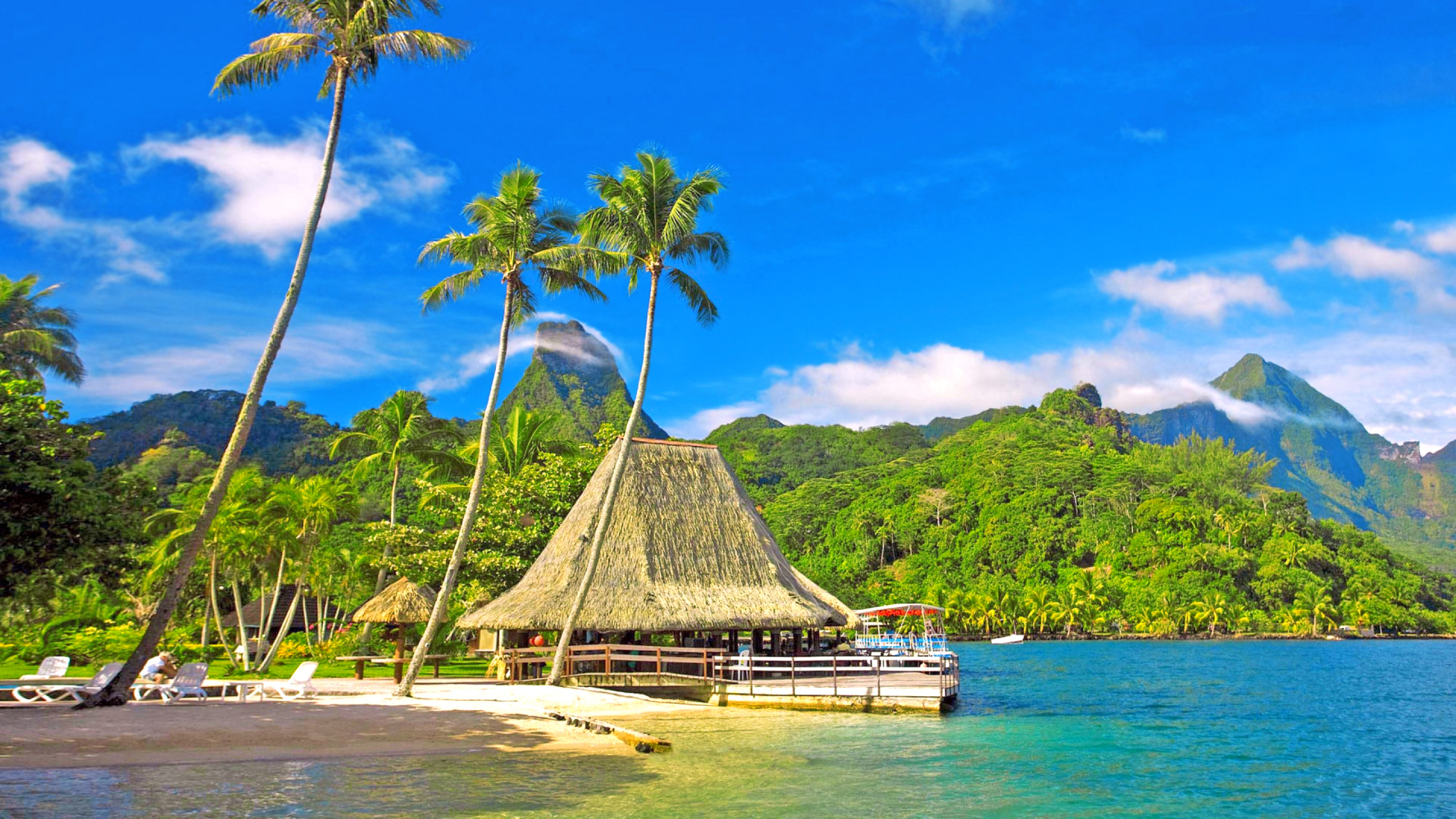 Brown Wooden Beach House Near Green Trees and Body of Water During Daytime. Wallpaper in 2560x1440 Resolution