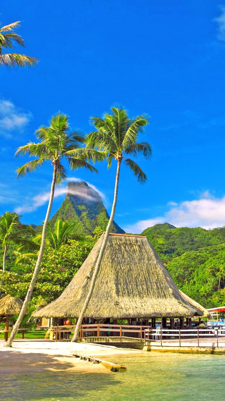 Brown Wooden Beach House Near Green Trees and Body of Water During Daytime. Wallpaper in 720x1280 Resolution