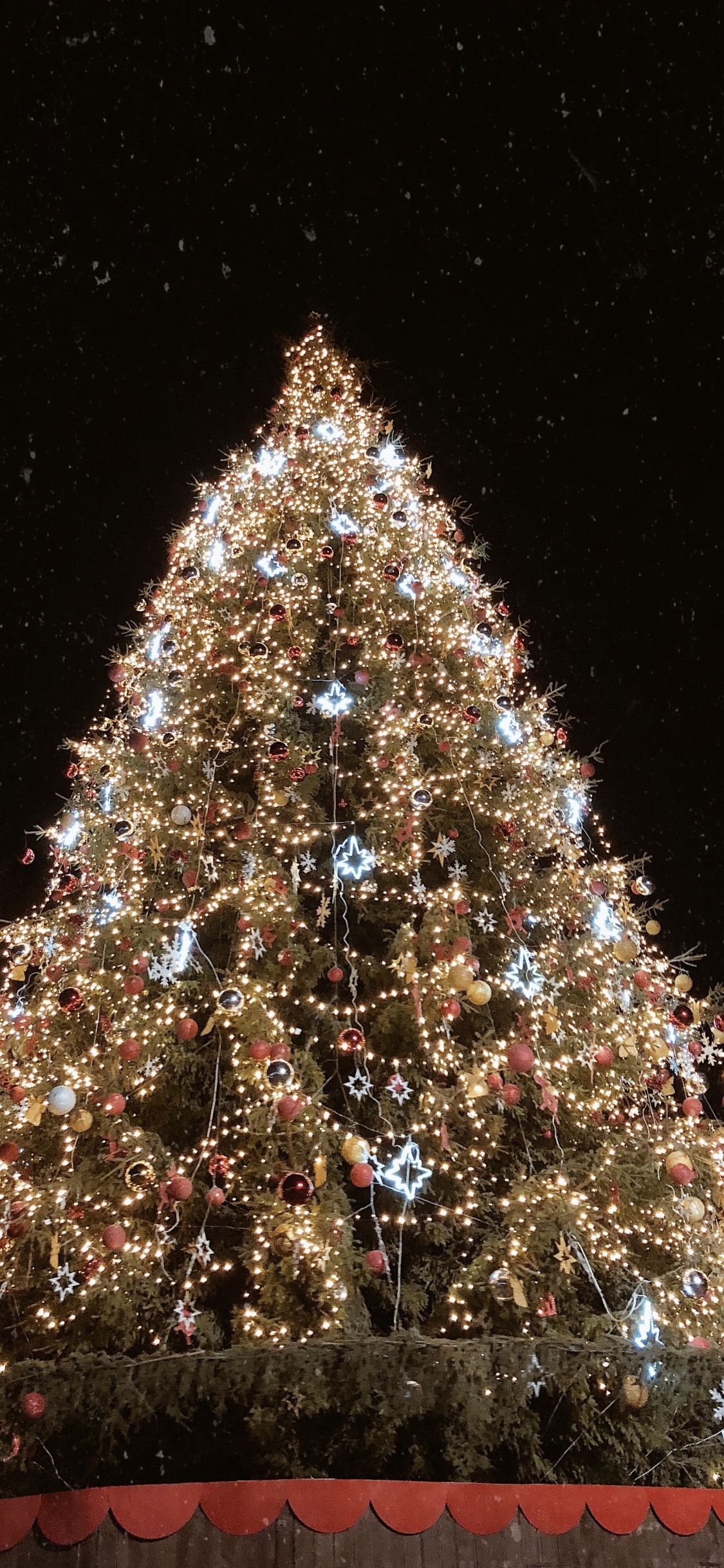 Christmas Tree, Christmas Day, Spruce, Christmas Lights, Christmas Decoration. Wallpaper in 1125x2436 Resolution