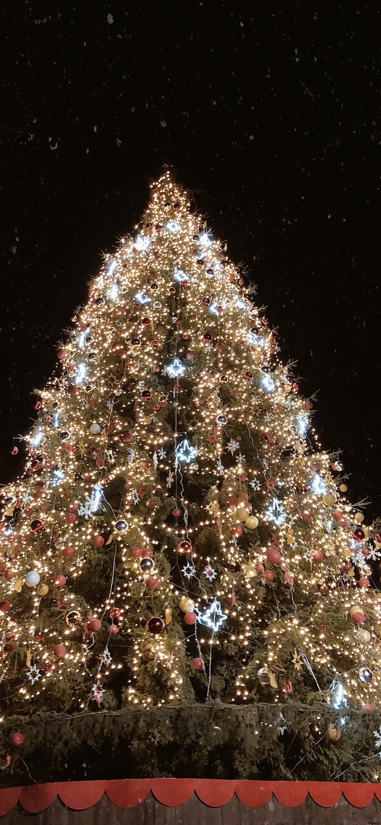 Weihnachtsbaum, Weihnachten, Fichte, Weihnachtsbeleuchtung, Weihnachtsdekoration. Wallpaper in 1242x2688 Resolution