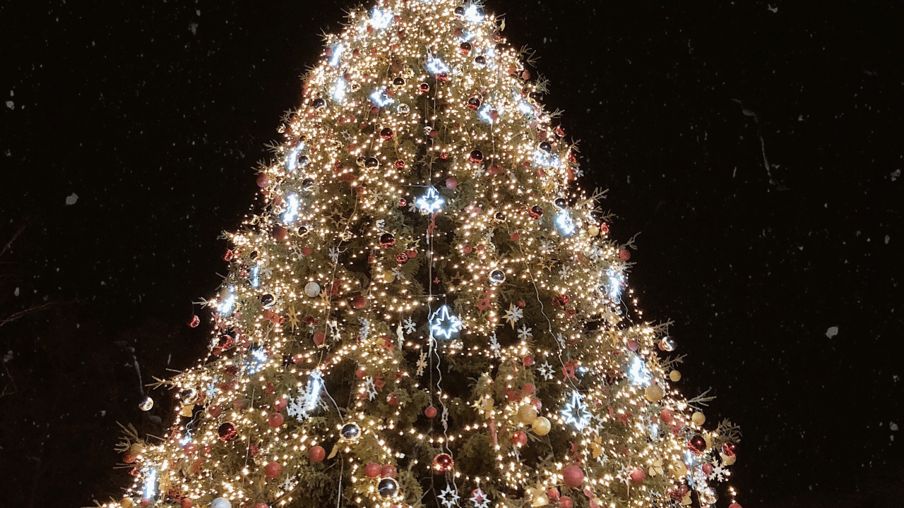 Weihnachtsbaum, Weihnachten, Fichte, Weihnachtsbeleuchtung, Weihnachtsdekoration. Wallpaper in 1280x720 Resolution