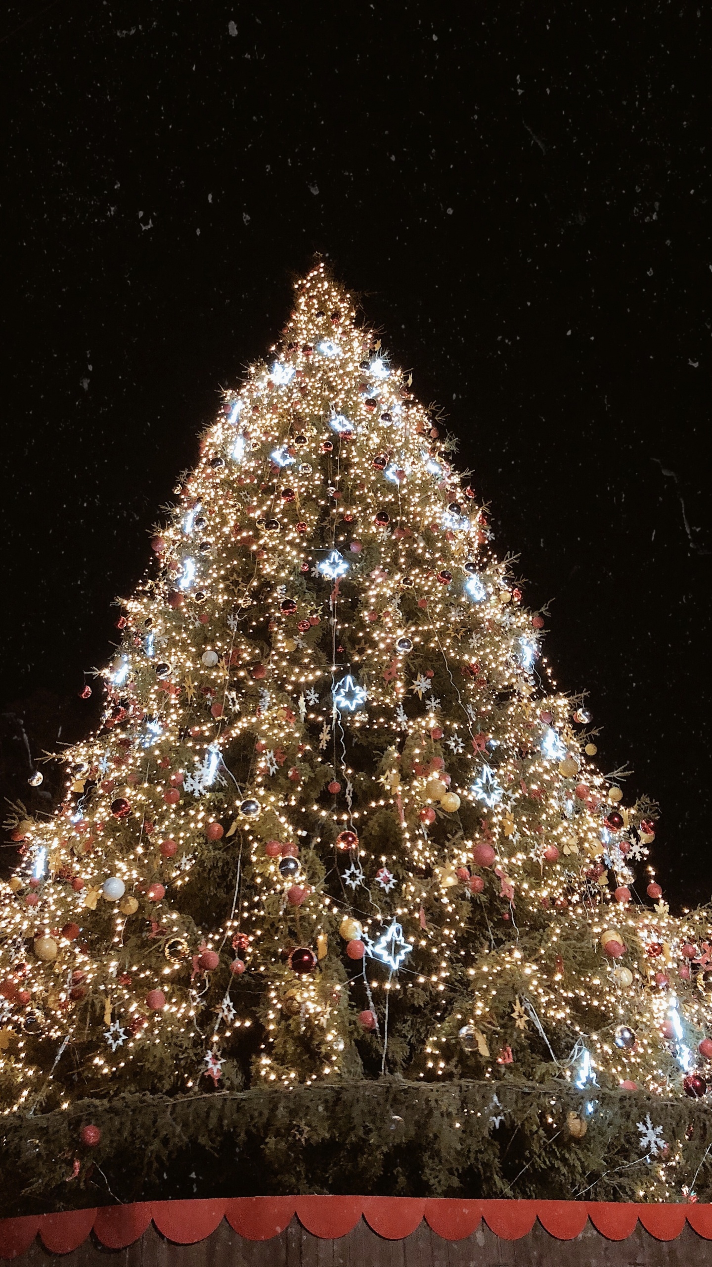 Weihnachtsbaum, Weihnachten, Fichte, Weihnachtsbeleuchtung, Weihnachtsdekoration. Wallpaper in 1440x2560 Resolution