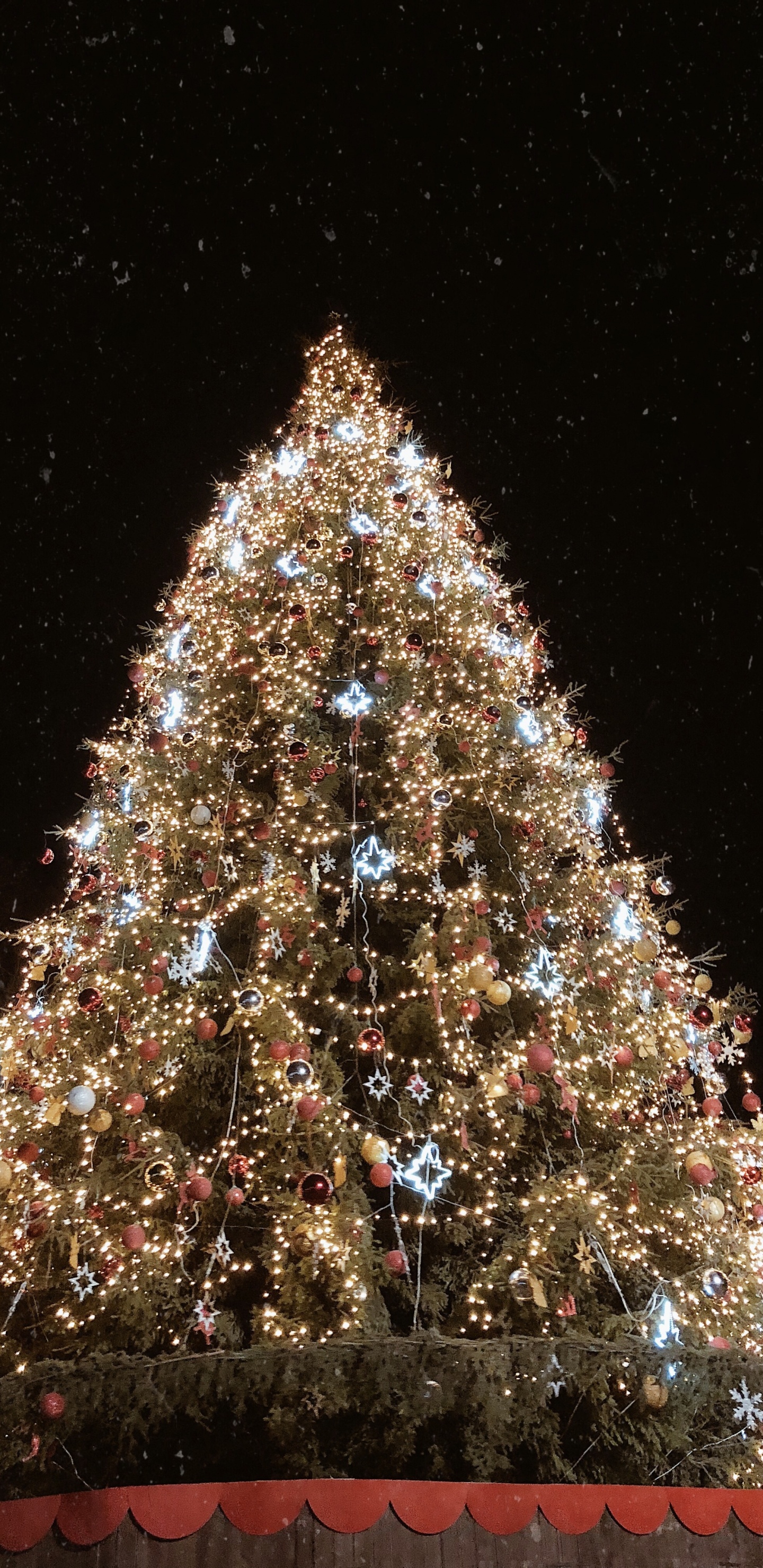 Weihnachtsbaum, Weihnachten, Fichte, Weihnachtsbeleuchtung, Weihnachtsdekoration. Wallpaper in 1440x2960 Resolution