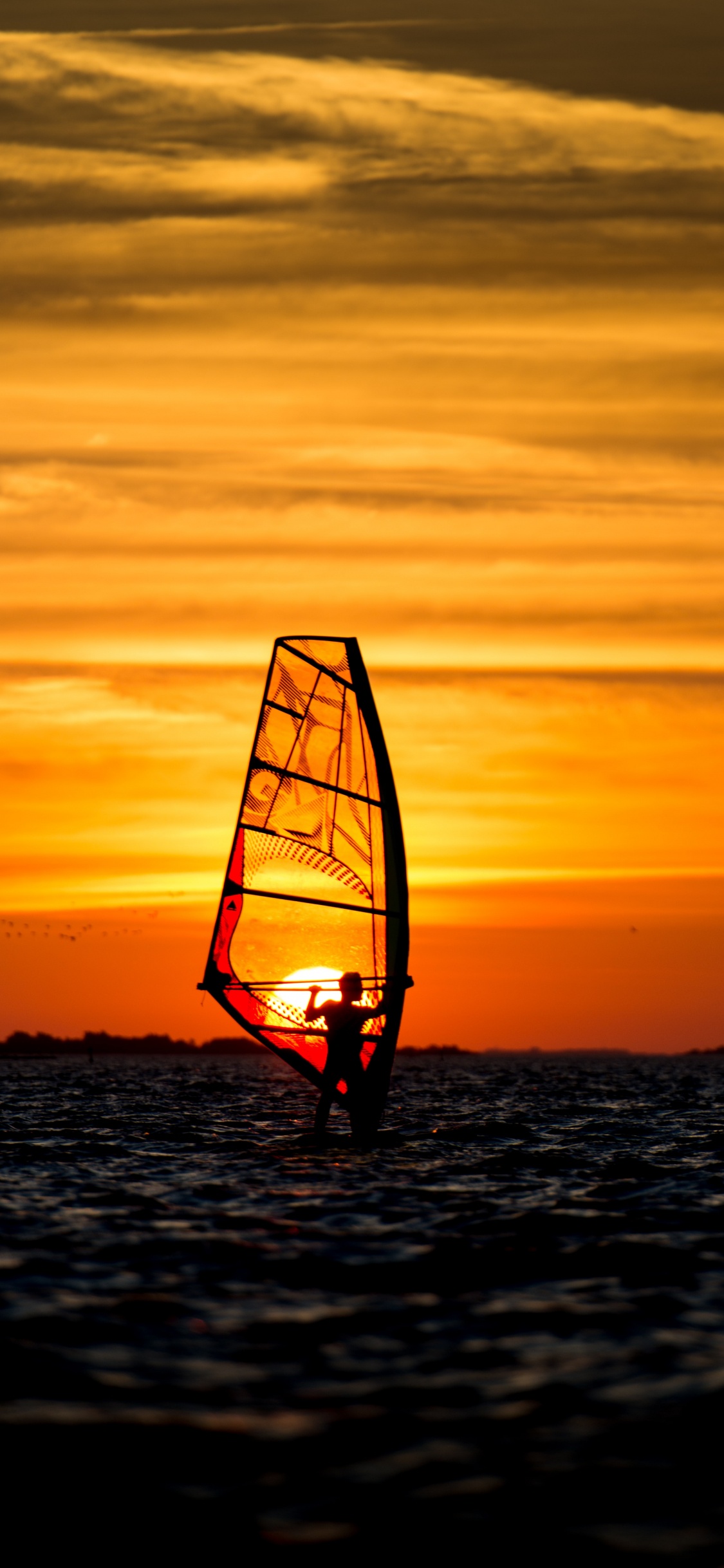 Agua, Barco, Vela, Windsurf, Velero. Wallpaper in 1125x2436 Resolution