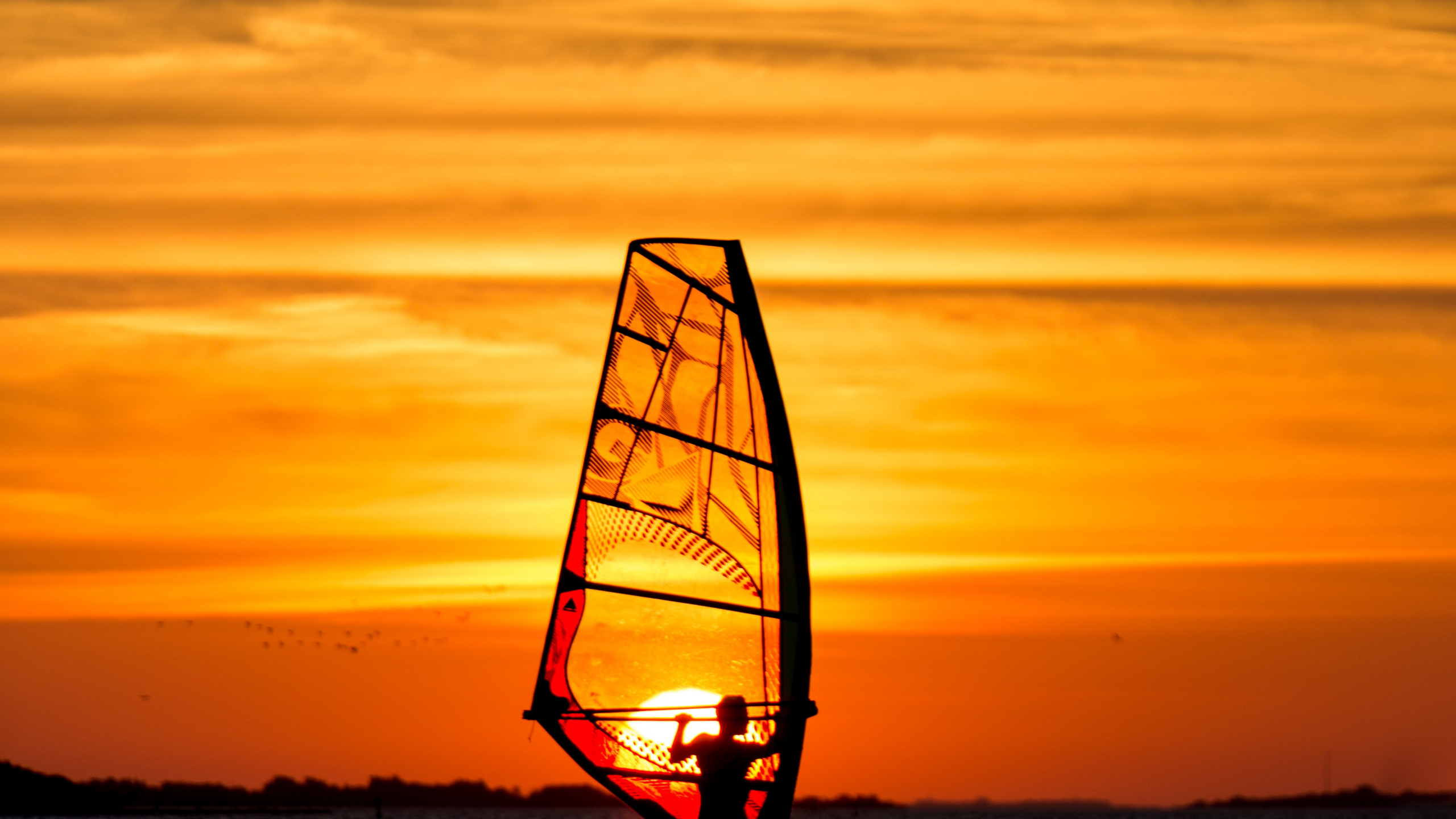 Agua, Barco, Vela, Windsurf, Velero. Wallpaper in 2560x1440 Resolution
